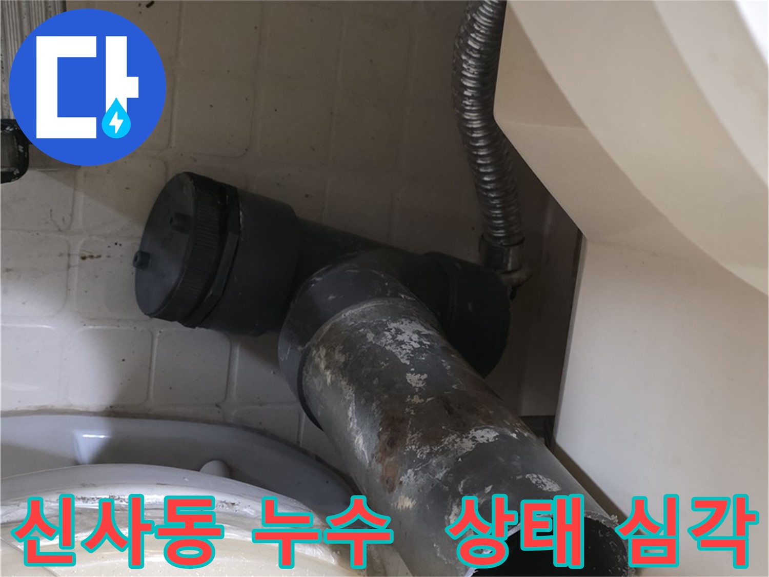 신사동 변기 오수관 누수 - 문제의 낡은 배관 발견 - 상태가 심각합니다.