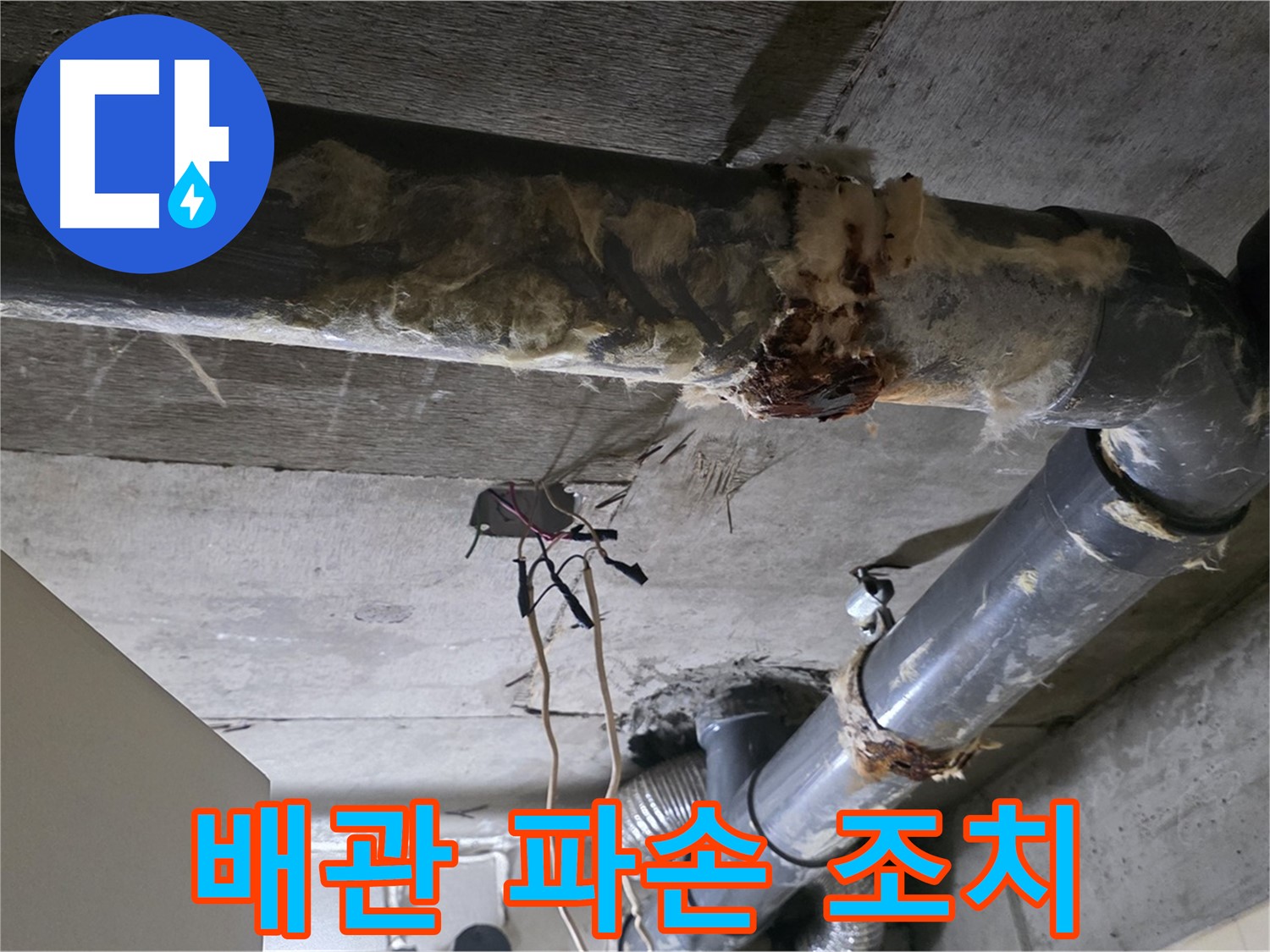 신사동 새절역현대아파트 누수 - 오수 배관 파손 2차 피해 예방