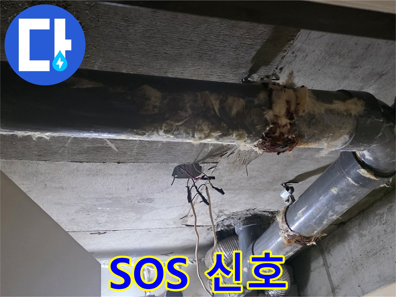 신사동/새절역 - 낡은 보온재 속에 숨겨진 배관의 SOS, 놓치지 않았습니다