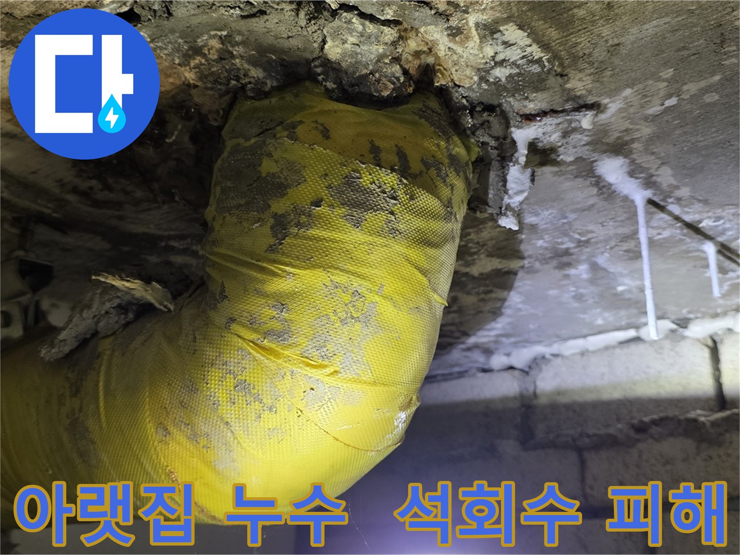 아랫집 천장으로 물이 - 새절역 현대아파트 누수, 석회수 피해 긴급 복구