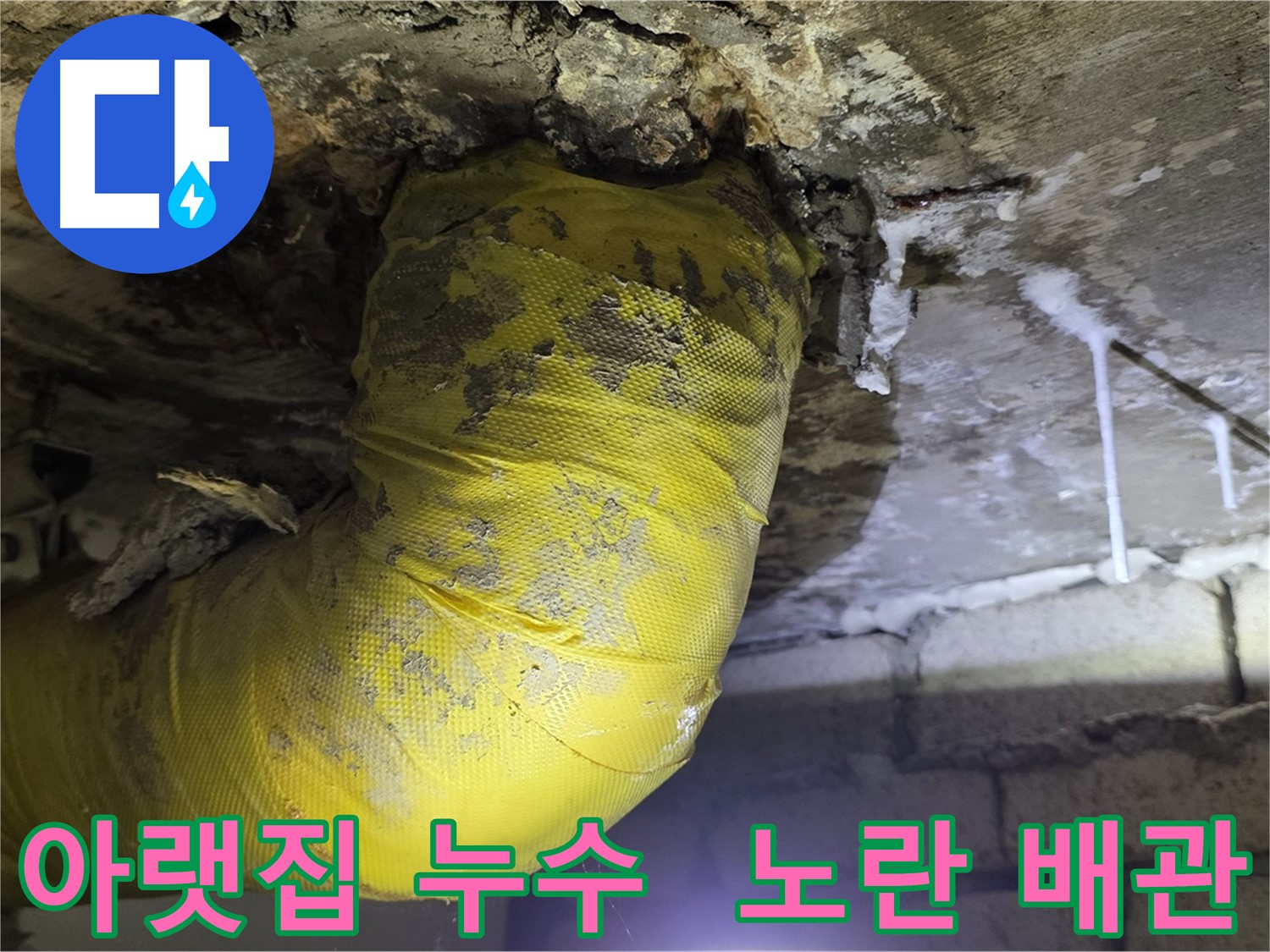 아랫집 천장으로 워터파크 개장 - 새절역 현대아파트 누수 긴급 방문, 노란 배관의 마지막 울음
