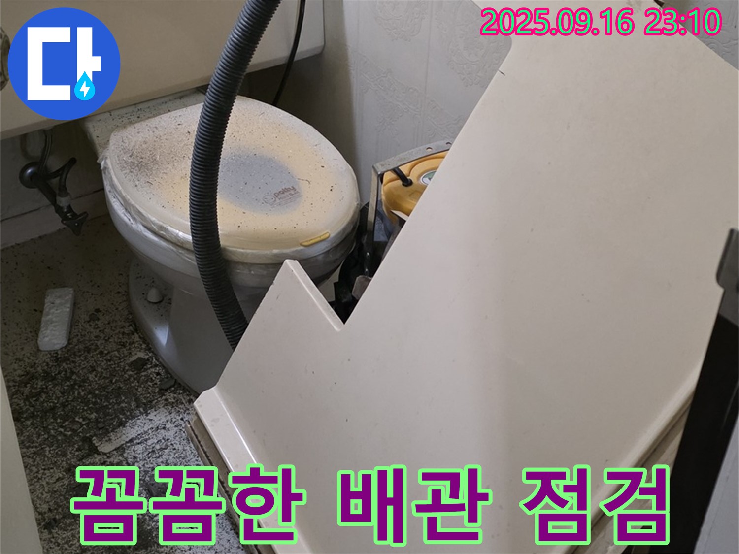 욕조 밑 배관을 꼼꼼하게 점검하고 있습니다 - 작은 균열도 놓치지 않아요.