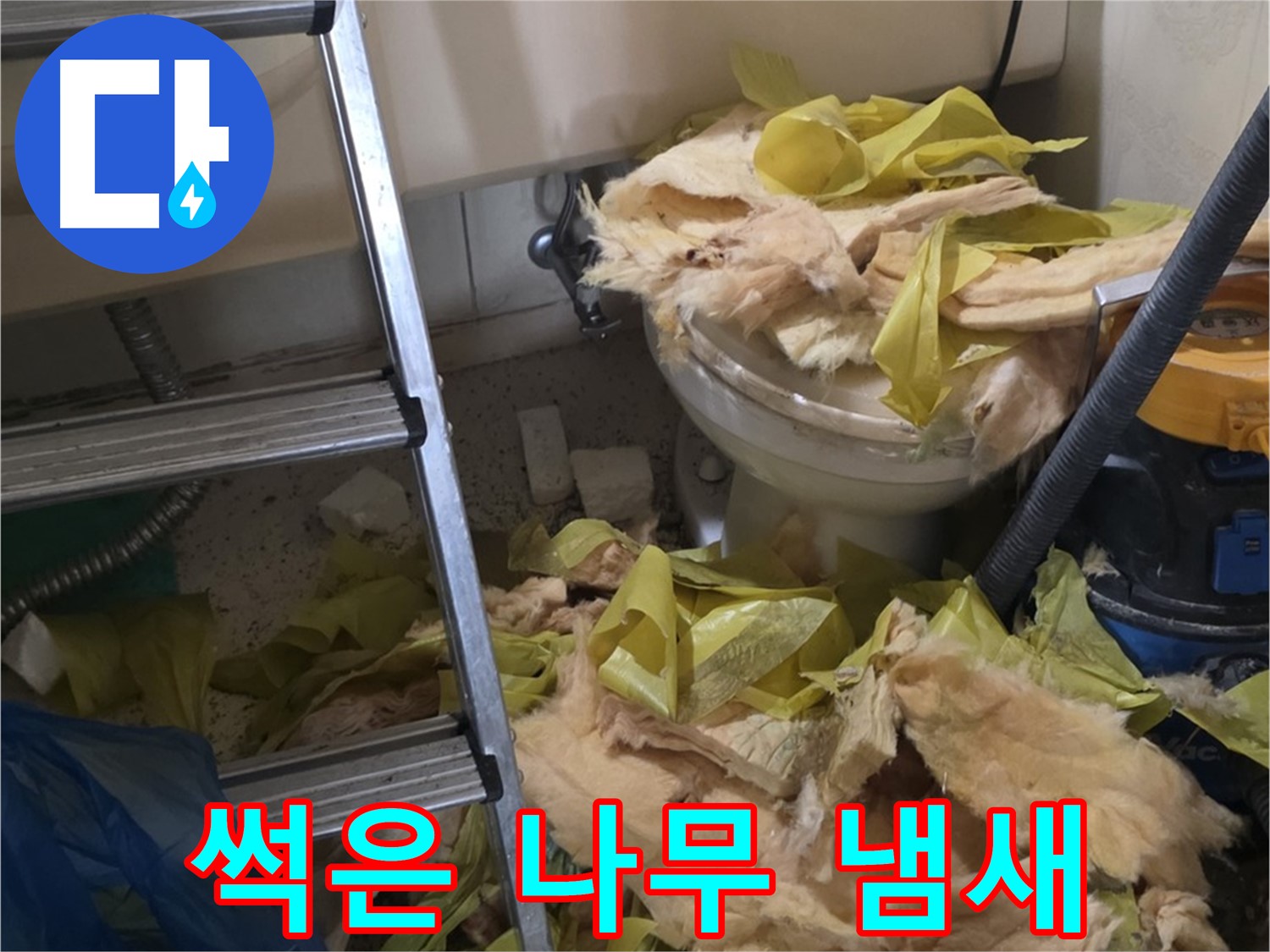 은평구 누수 현장 - 곰팡이 핀 보온재에서 나는 썩은 나무 냄새 - 악취