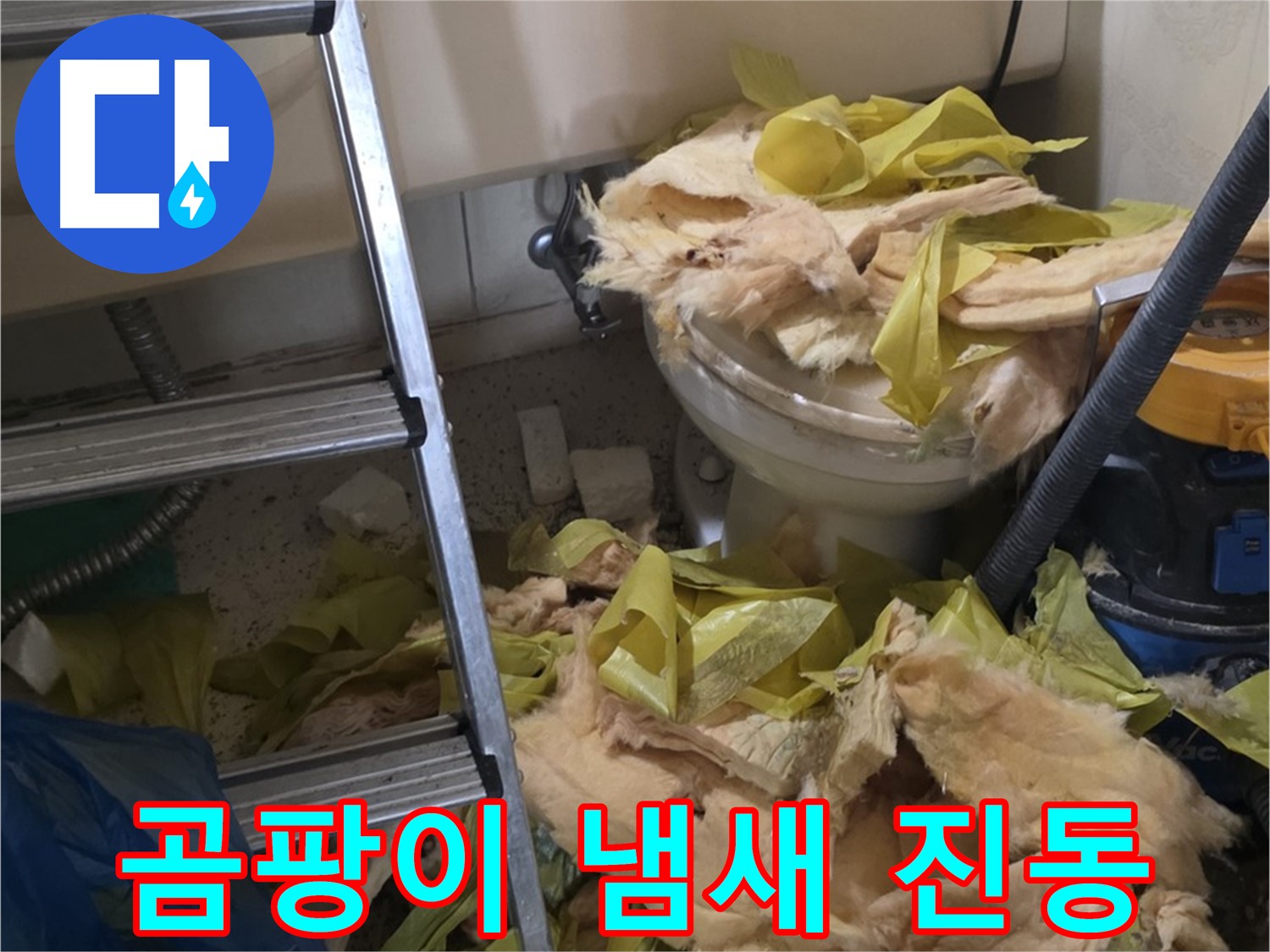 은평구 신사동 누수 - 새절역현대아파트 곰팡이 냄새 진동 - 건강 위협