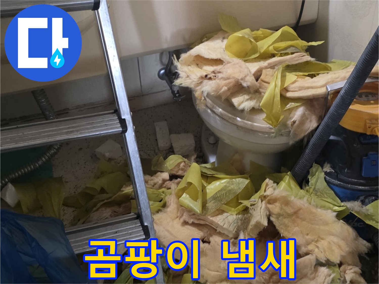 은평구 신사동 누수 - 습기를 머금어 솜사탕처럼 뭉쳐있는 보온재, 곰팡이 냄새