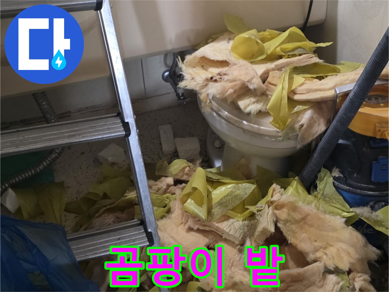 은평구 신사동 누수 - 습기를 머금어 솜사탕처럼 뭉쳐있는 보온재, 곰팡이 번식