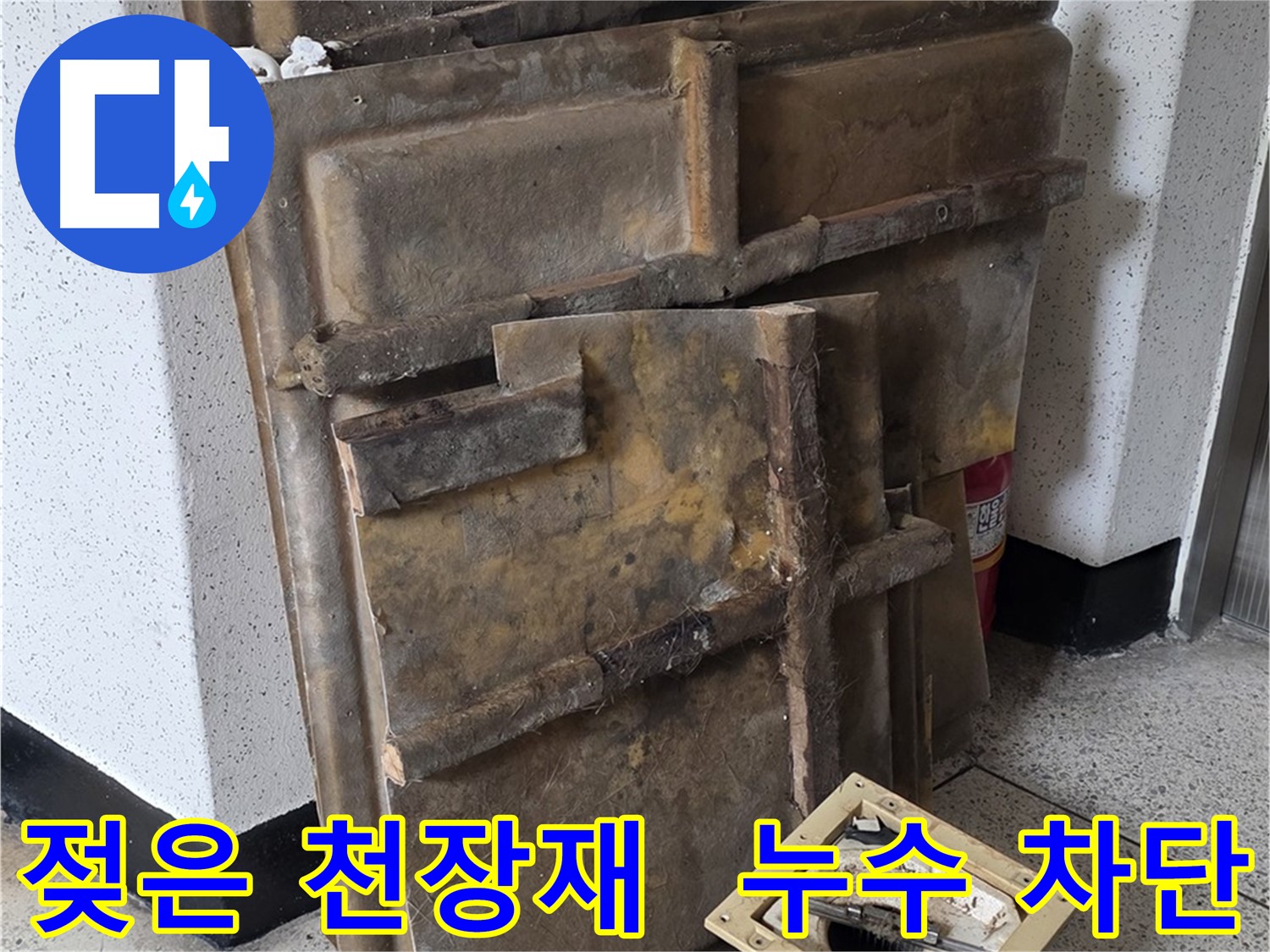 젖은 천장재와 조명 - 완벽 누수 차단 약속