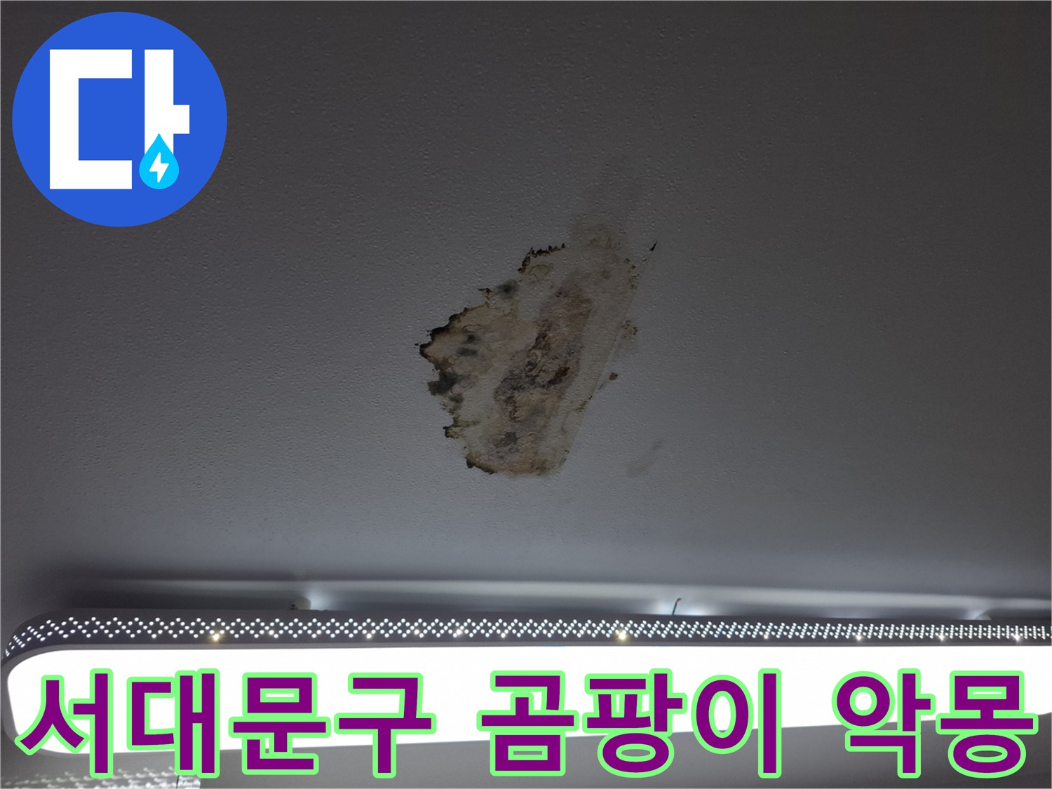 곰팡이 뒤덮인 천장 - 누수로 인한 악몽을 끝내 드립니다