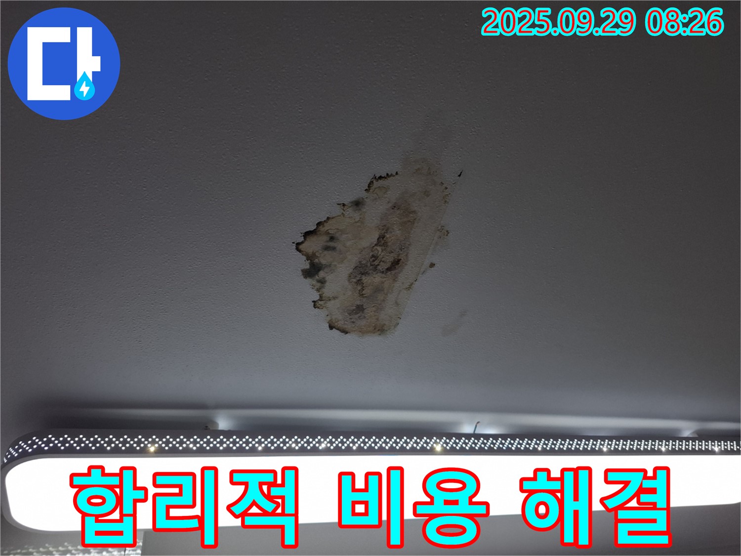 곰팡이 누수 - 합리적 비용 - 투명 견적