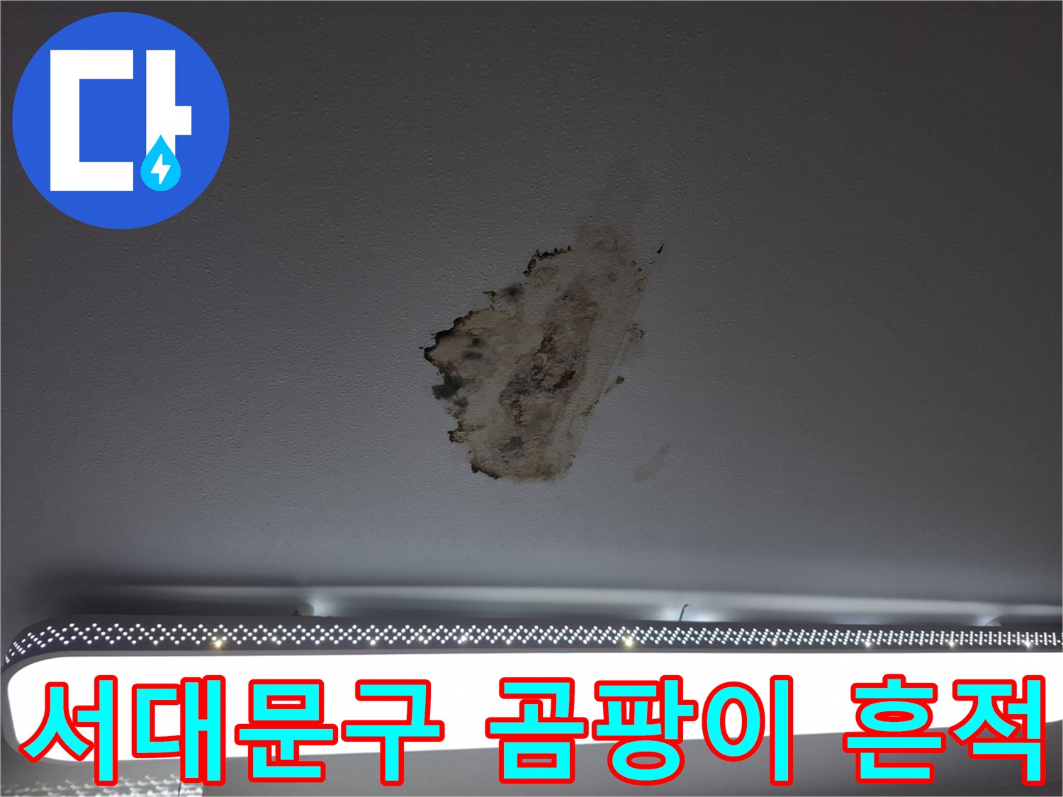 곰팡이 뒤덮인 천장 - 고통의 흔적을 지워드립니다