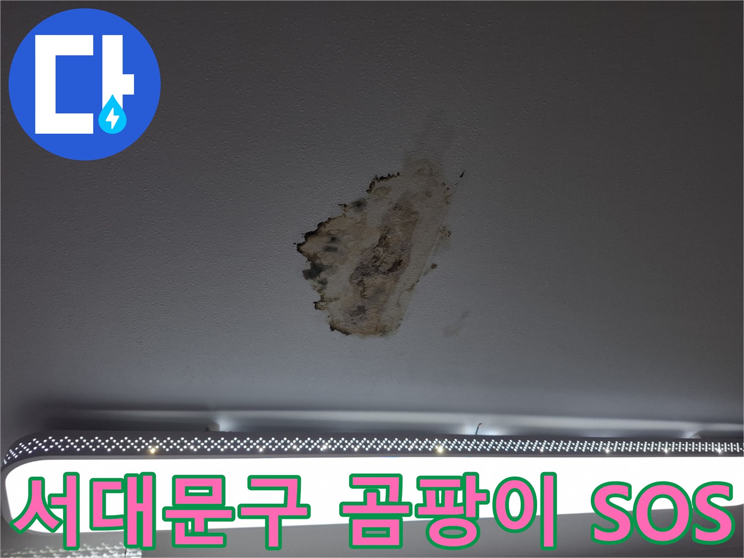 곰팡이 뒤덮인 천장 - 누수 해결을 위한 SOS 신호
