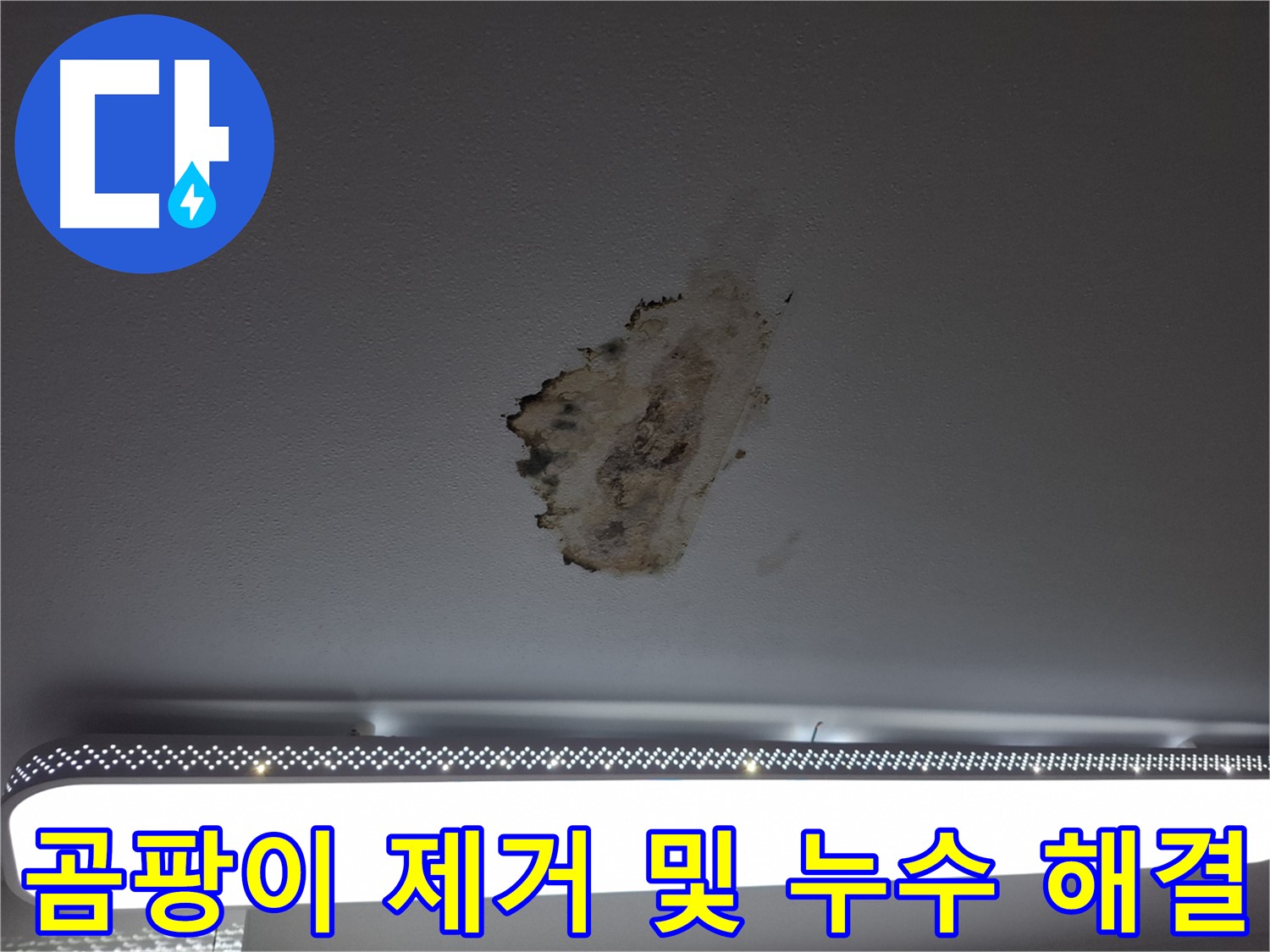 천장 곰팡이 - 건강 위협과 누수 해결의 필요성