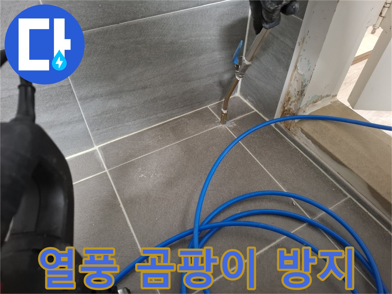 타일 틈새 열풍 건조 - 곰팡이 방지를 위해 꼼꼼하게 습기를 제거하는 모습입니다.