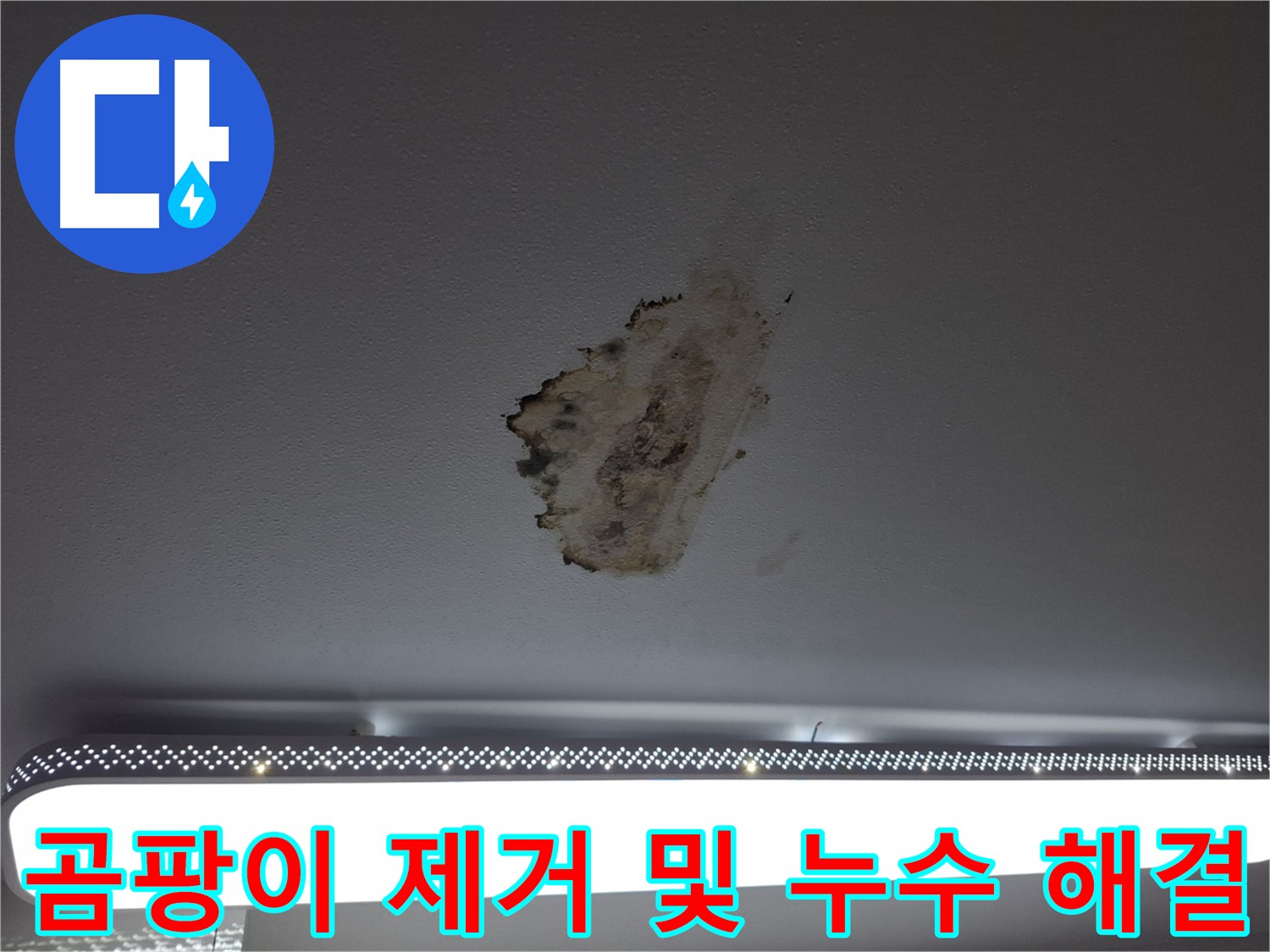 천장 곰팡이 - 건강 위협과 누수 해결의 필요성