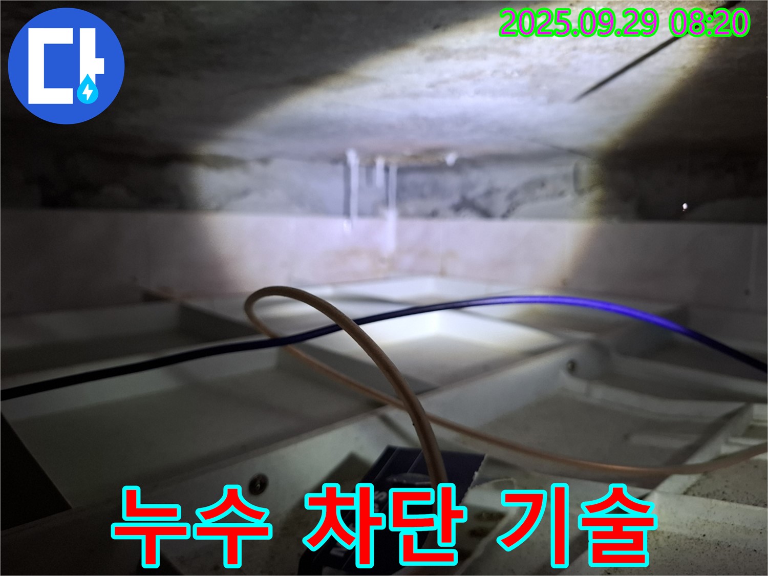 홍은동 빌라 - 천장 누수 완벽 차단을 위한 전문 기술 적용