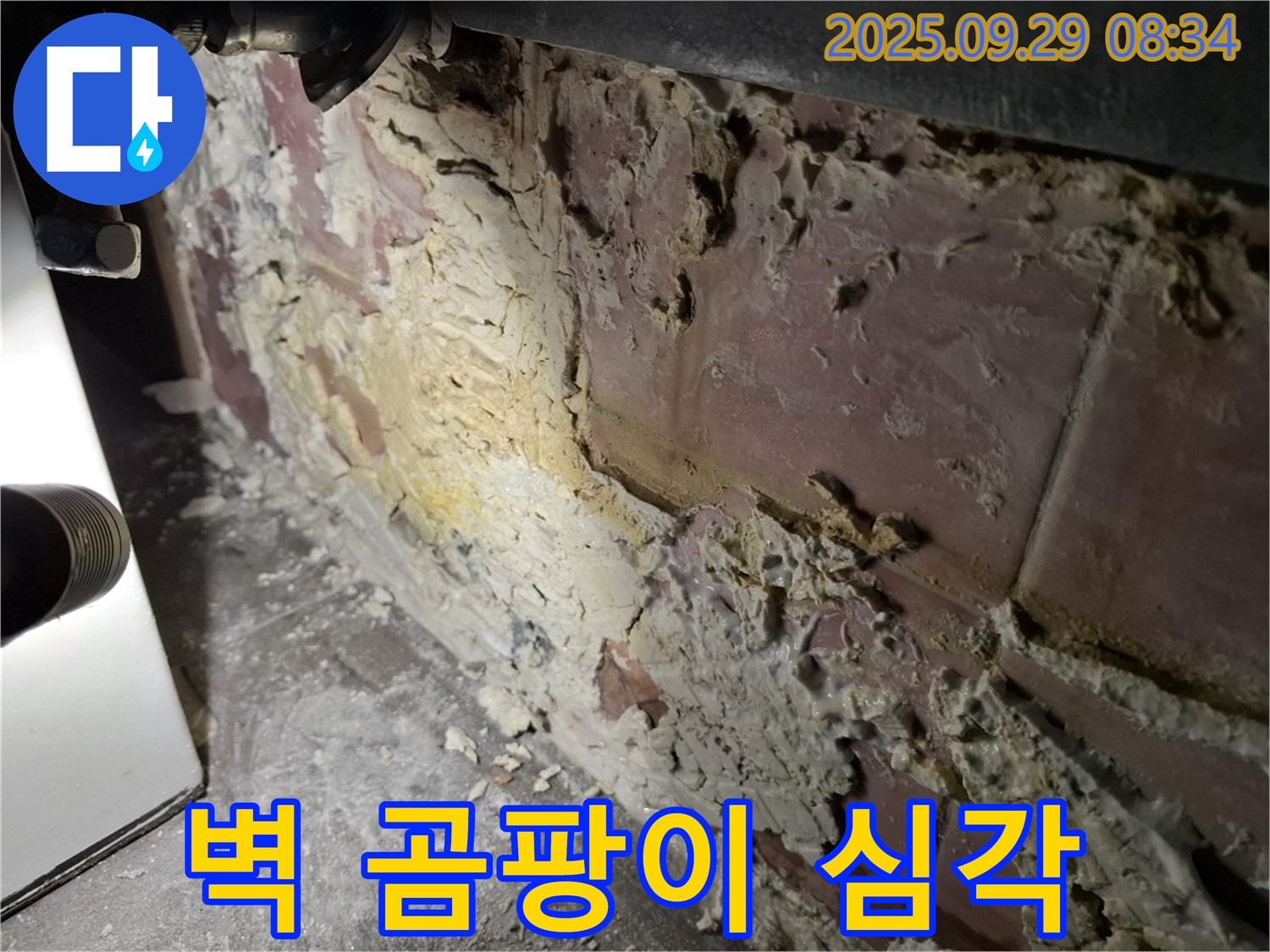 홍은빌라 벽 곰팡이 - 누수로 인해 벽 전체에 곰팡이가 심각하게 번식한 모습입니다.