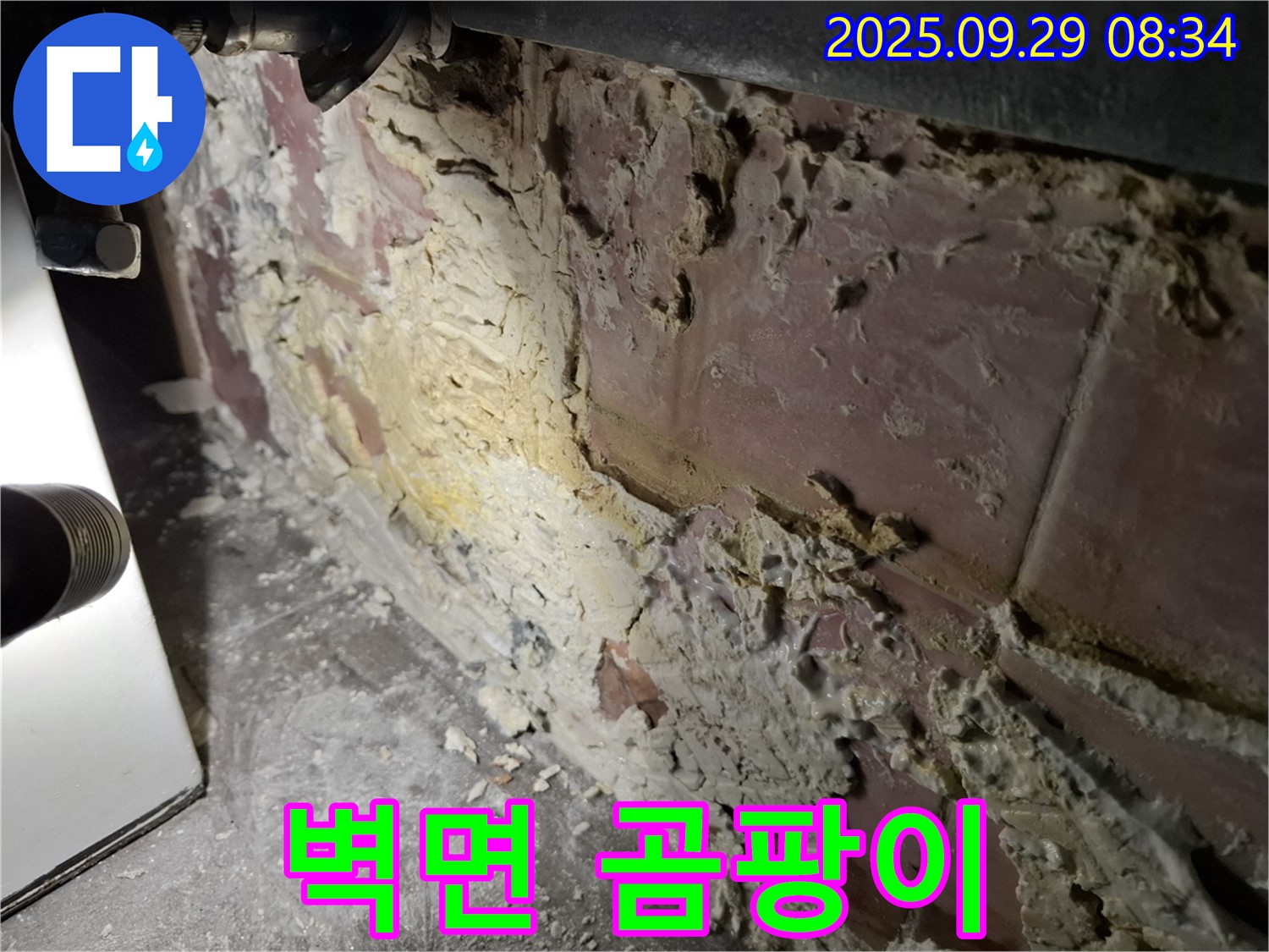 홍은빌라 벽면 곰팡이 습격 - 누수로 인해 벽면이 부식되고 곰팡이가 번식한 모습입니다.