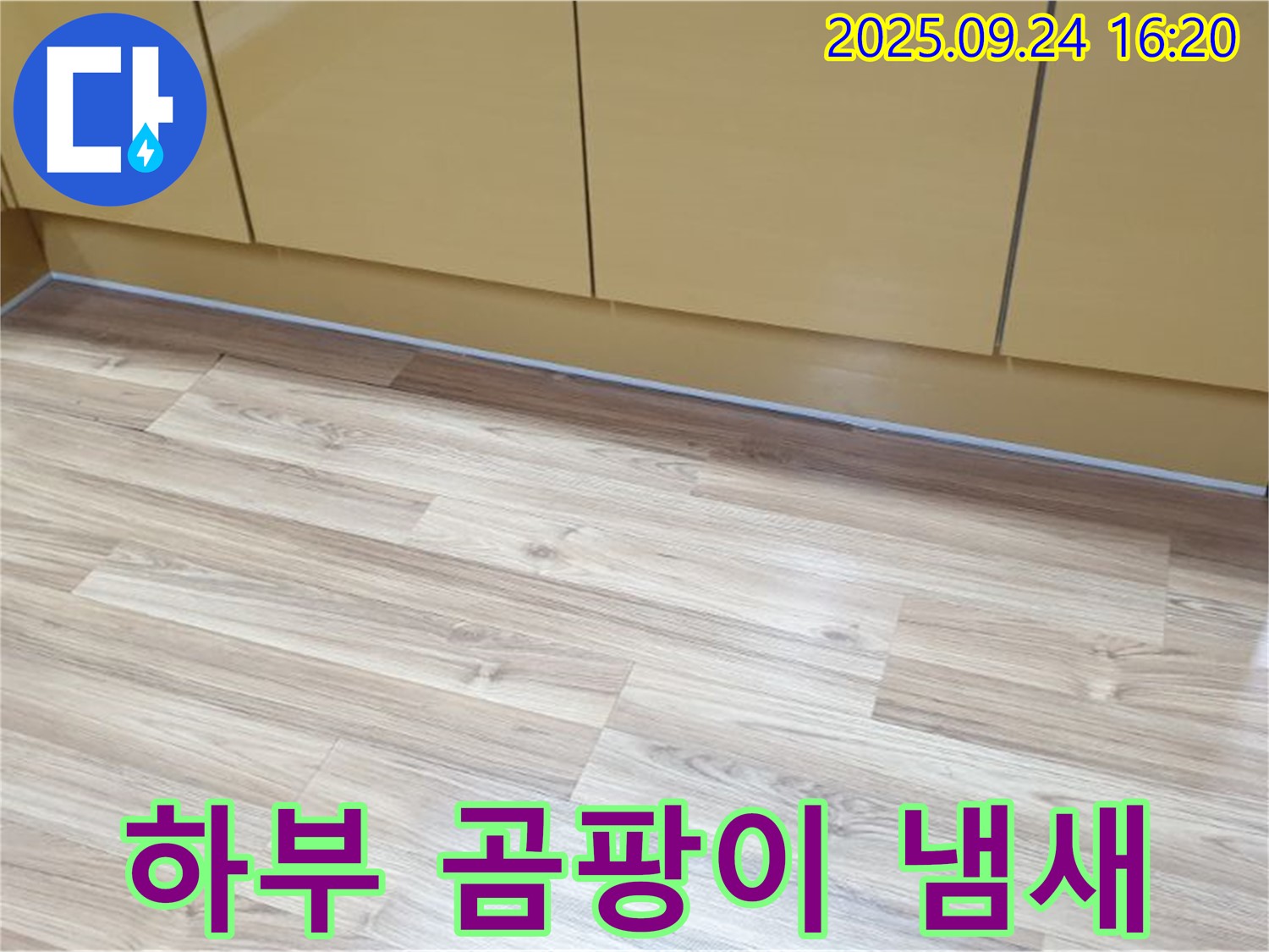 노원구 월계3동 싱크대 하부 곰팡이 냄새 - 누수와 곰팡이 냄새는 관련이 있을 수 있으며, 두통을 유발할 수 있습니다.