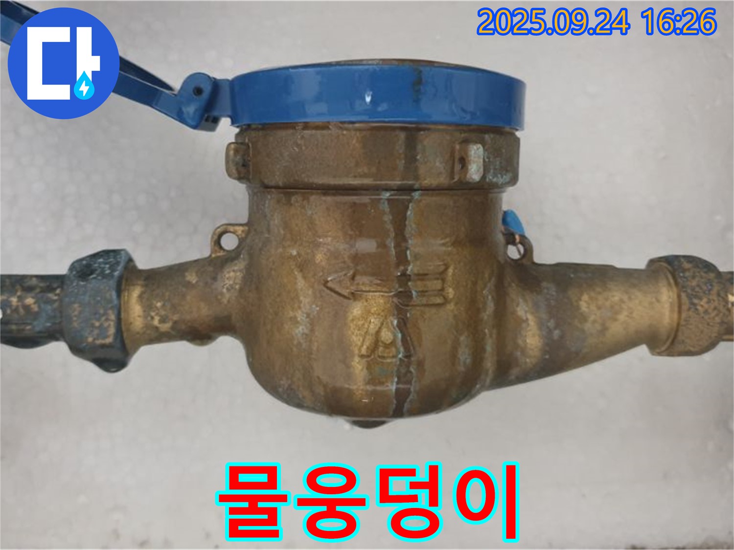 공릉동 수도 계량기 물웅덩이 - 수도 계량기 근처에 물웅덩이가 생긴 모습입니다.