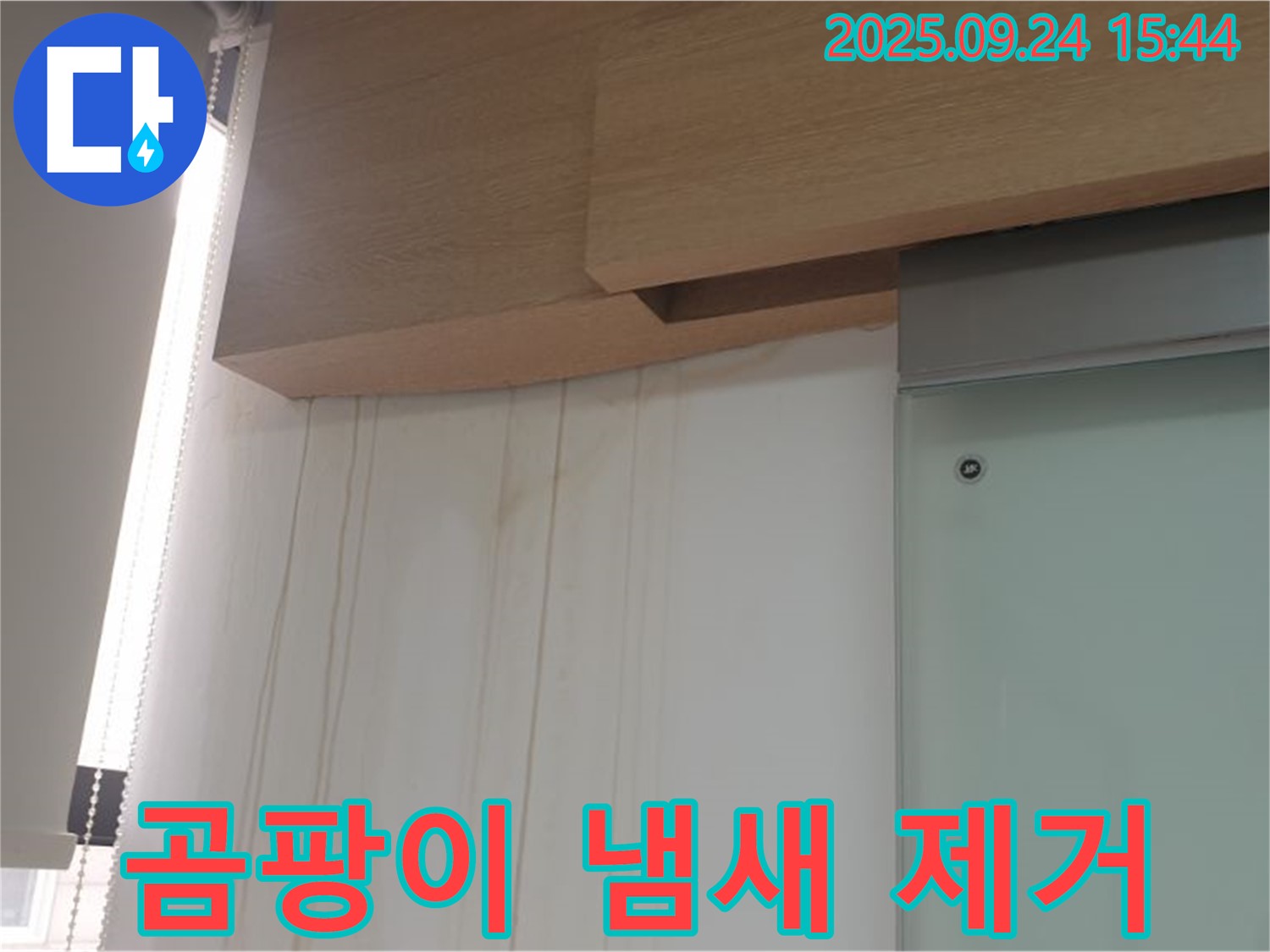노원구 벽 곰팡이 - 곰팡이 냄새 제거 및 쾌적한 환경 조성