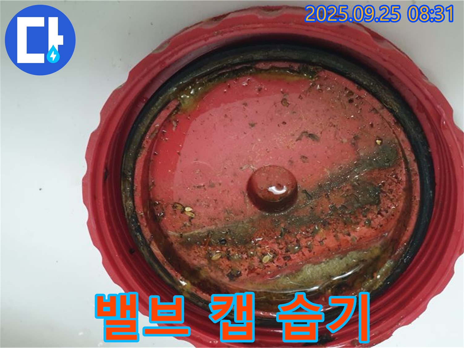 양주시에서 발견된 밸브 캡 주변 습기 - 누수 초기 증상을 확인합니다.