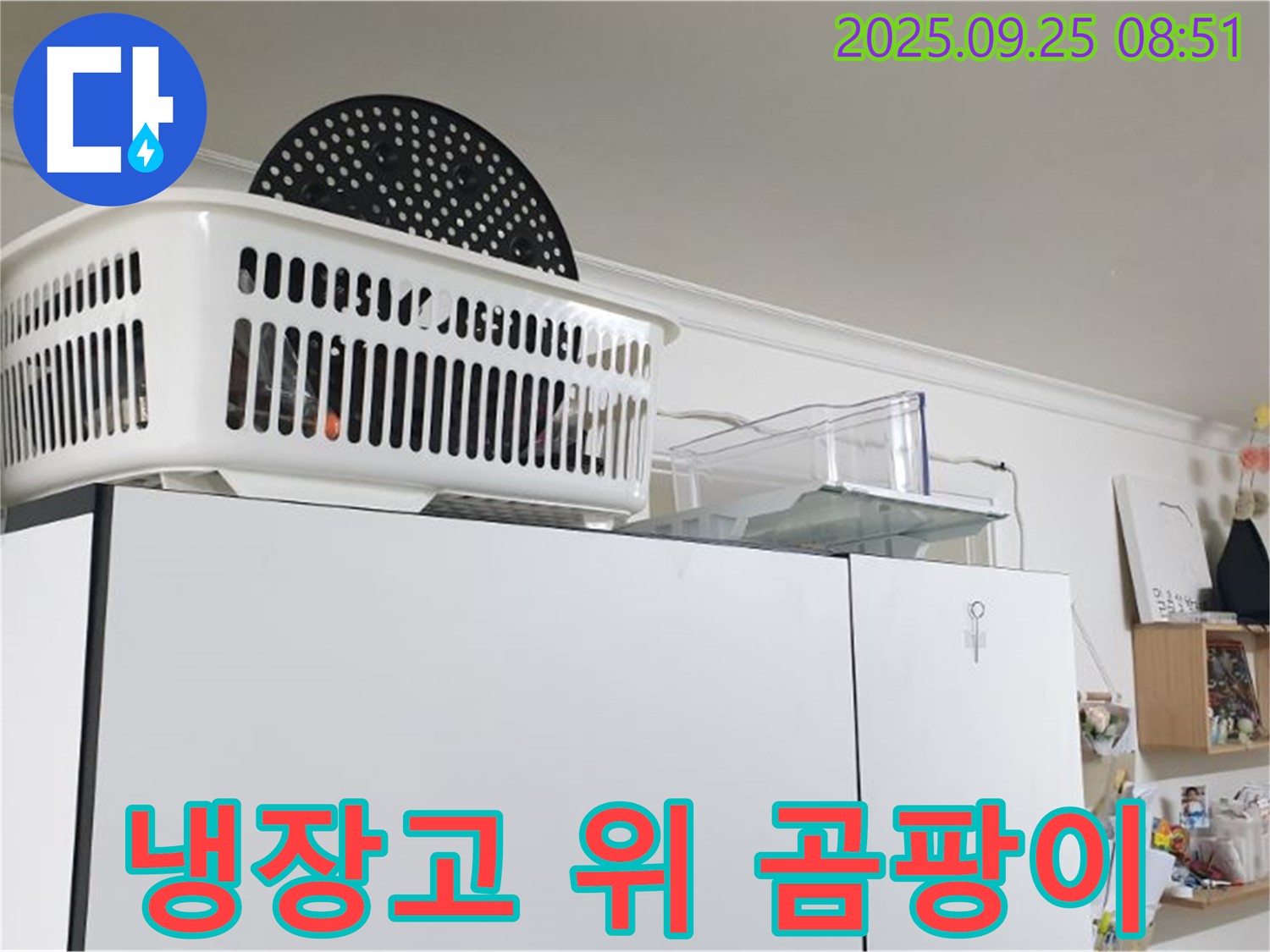 백석읍에서 냉장고 위 곰팡이 발견 - 누수로 인해 건강까지 위협받을 수 있습니다.