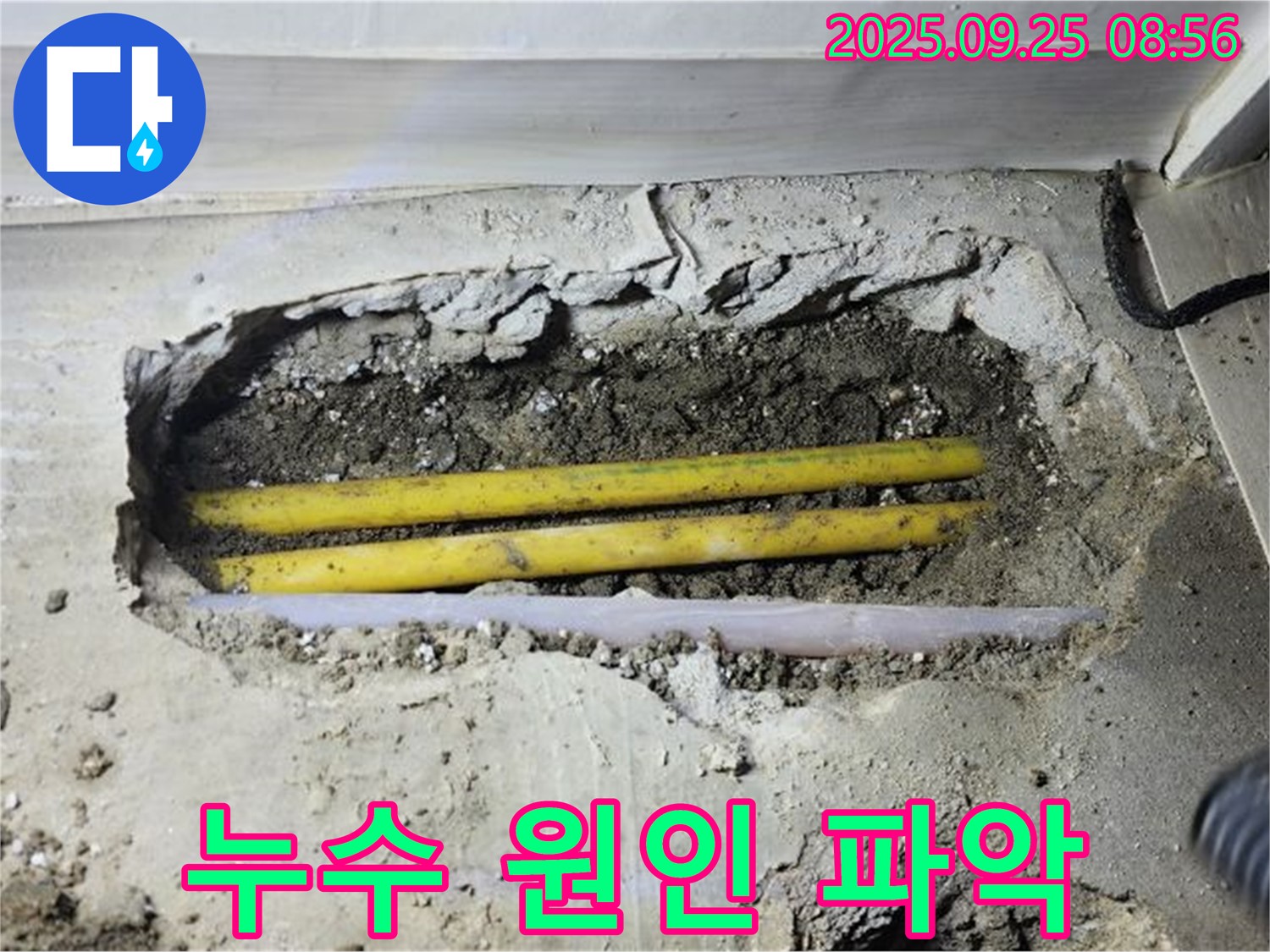 양주 백석 연곡리 누수 - 콘크리트 속 노란 배관이 누수 원인임을 파악했습니다 - 정확한 분석.