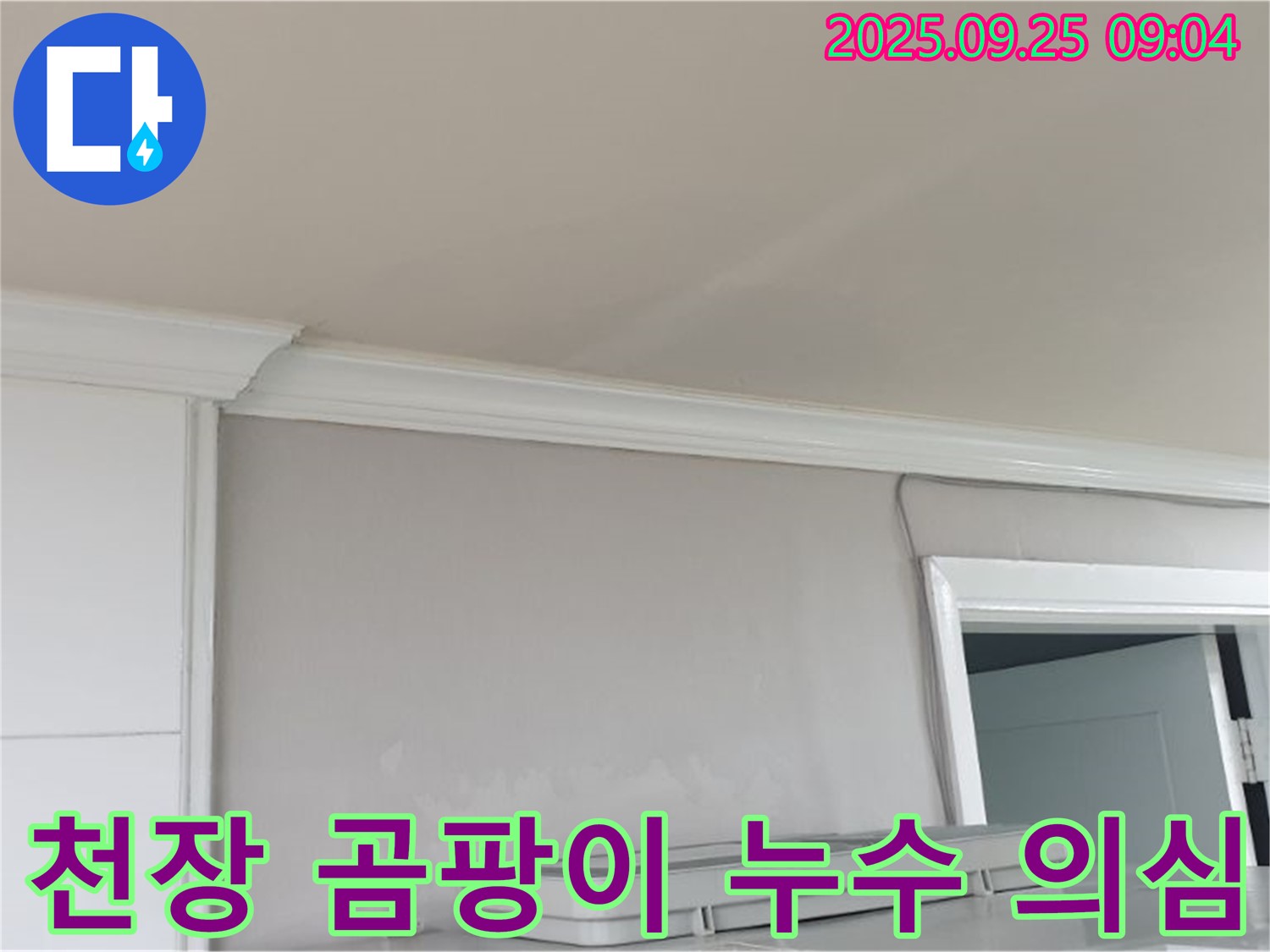 양주 백석읍 연곡리 - 천장 곰팡이, 누수 초기 증상일 수 있으니 꼼꼼한 점검이 필요합니다.