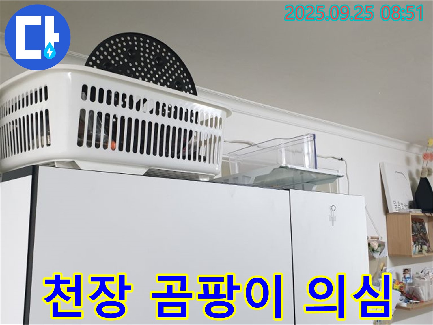 양주시 냉장고 위 누수 - 천장 얼룩, 혹시 곰팡이? 건강까지 위협한다면 서두르세요!