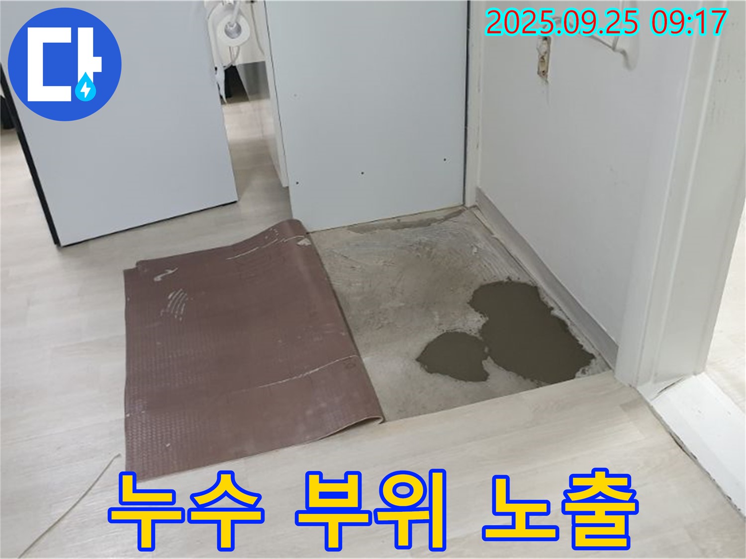 양주시 백석읍 연곡리 누수 - 문제의 누수 부위 정확히 노출