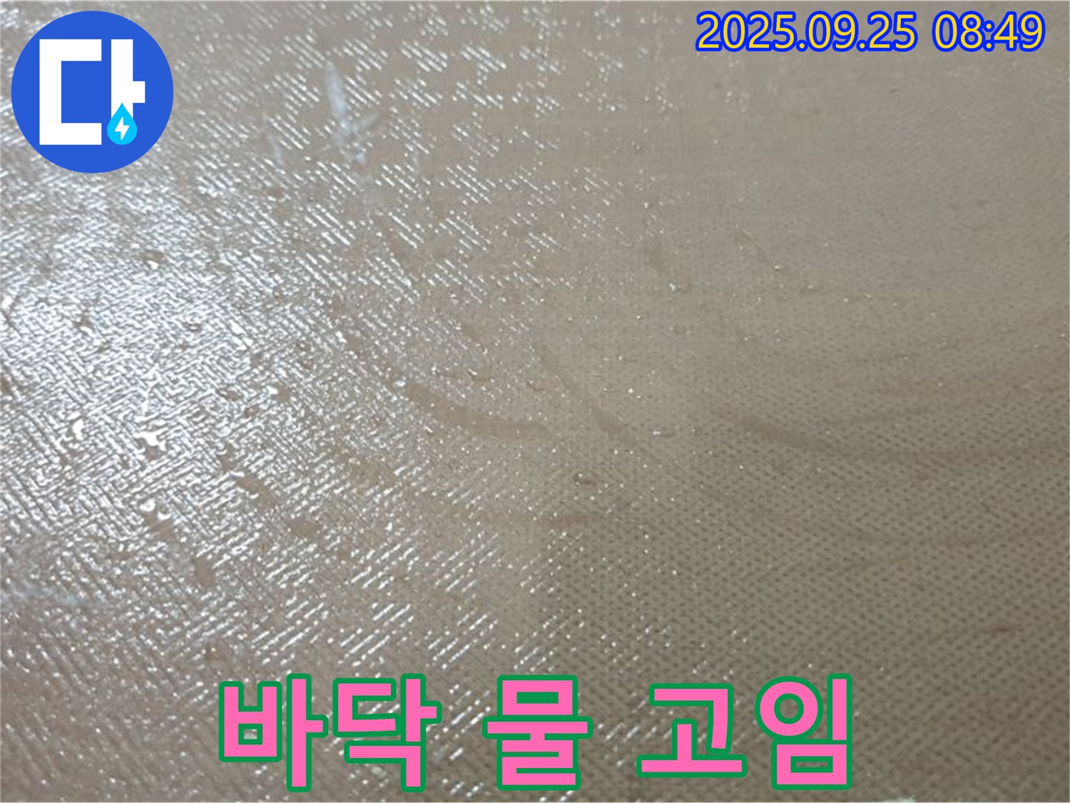 양주시 백석읍 연곡리 누수 - 바닥에 물이 고여있다면 즉시 전문가에게 문의하세요.