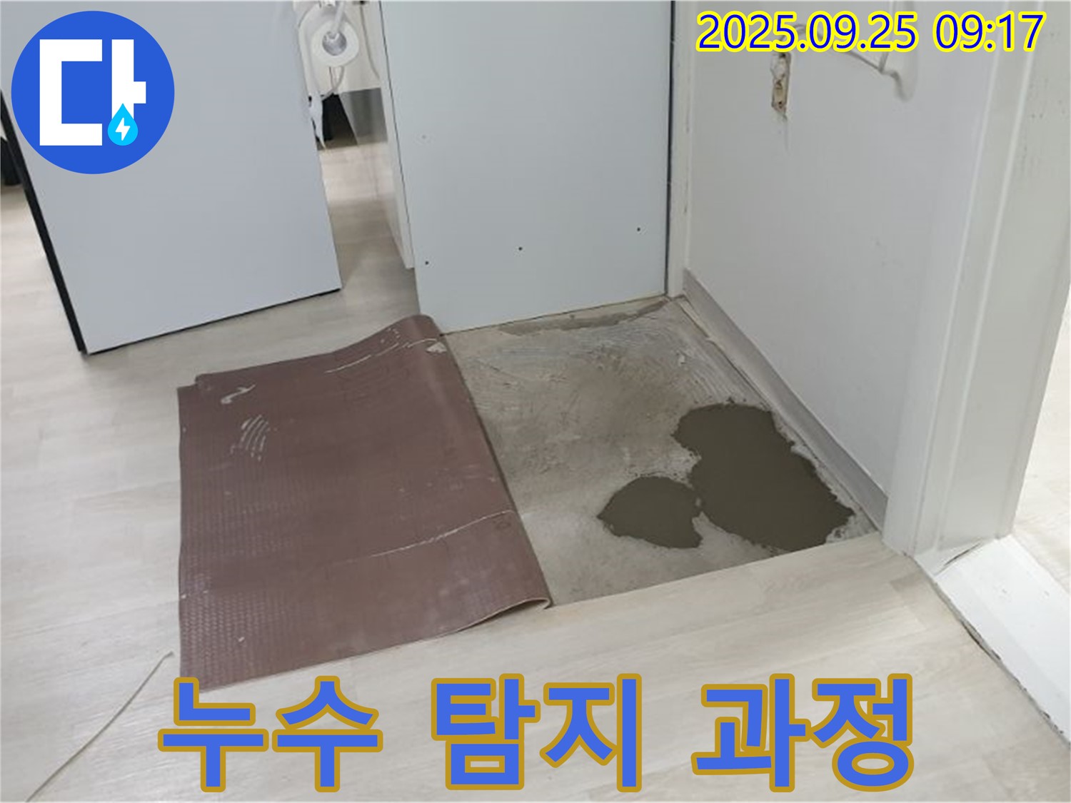 양주시 백석읍 연곡리 누수 - 장판 밑 누수 탐지 과정 상세