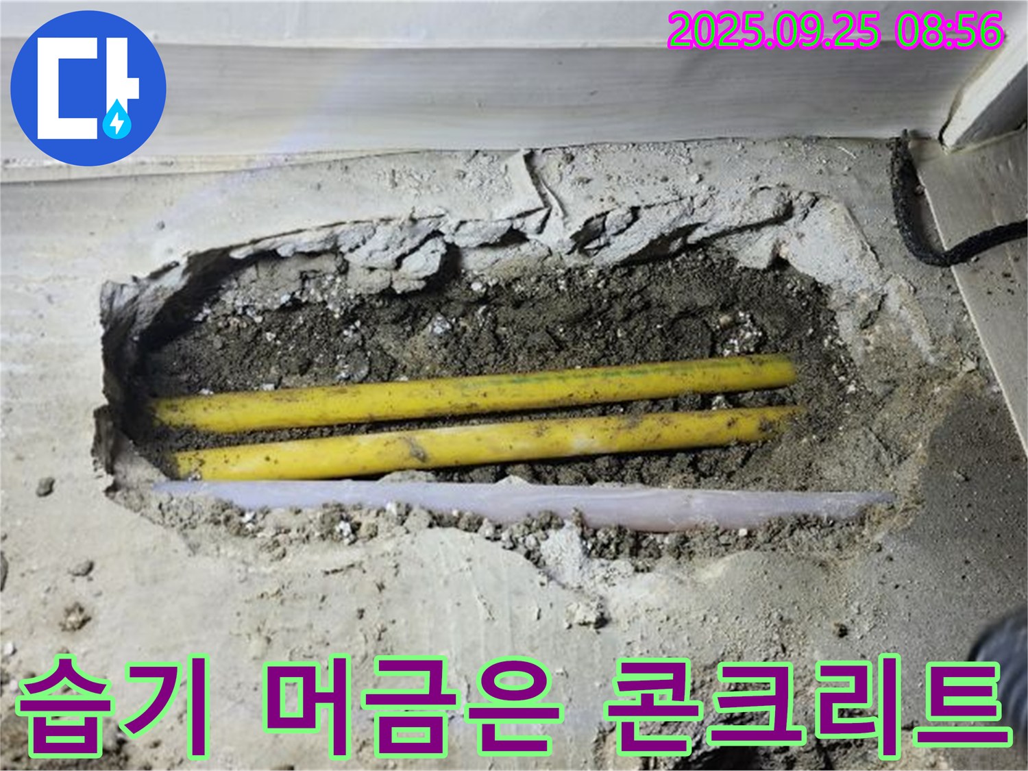양주시 백석읍 연곡리 누수 현장에서 습기를 머금은 콘크리트 확인 - 누수의 명백한 증거 포착.