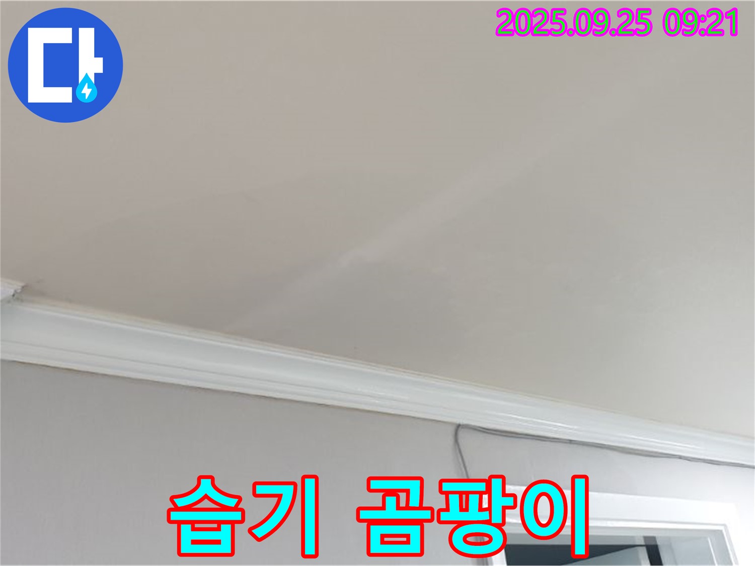 양주시 백석읍 연곡리 - 천장에 습기가 있다면, 곰팡이 발생의 전조 증상일 수 있습니다.