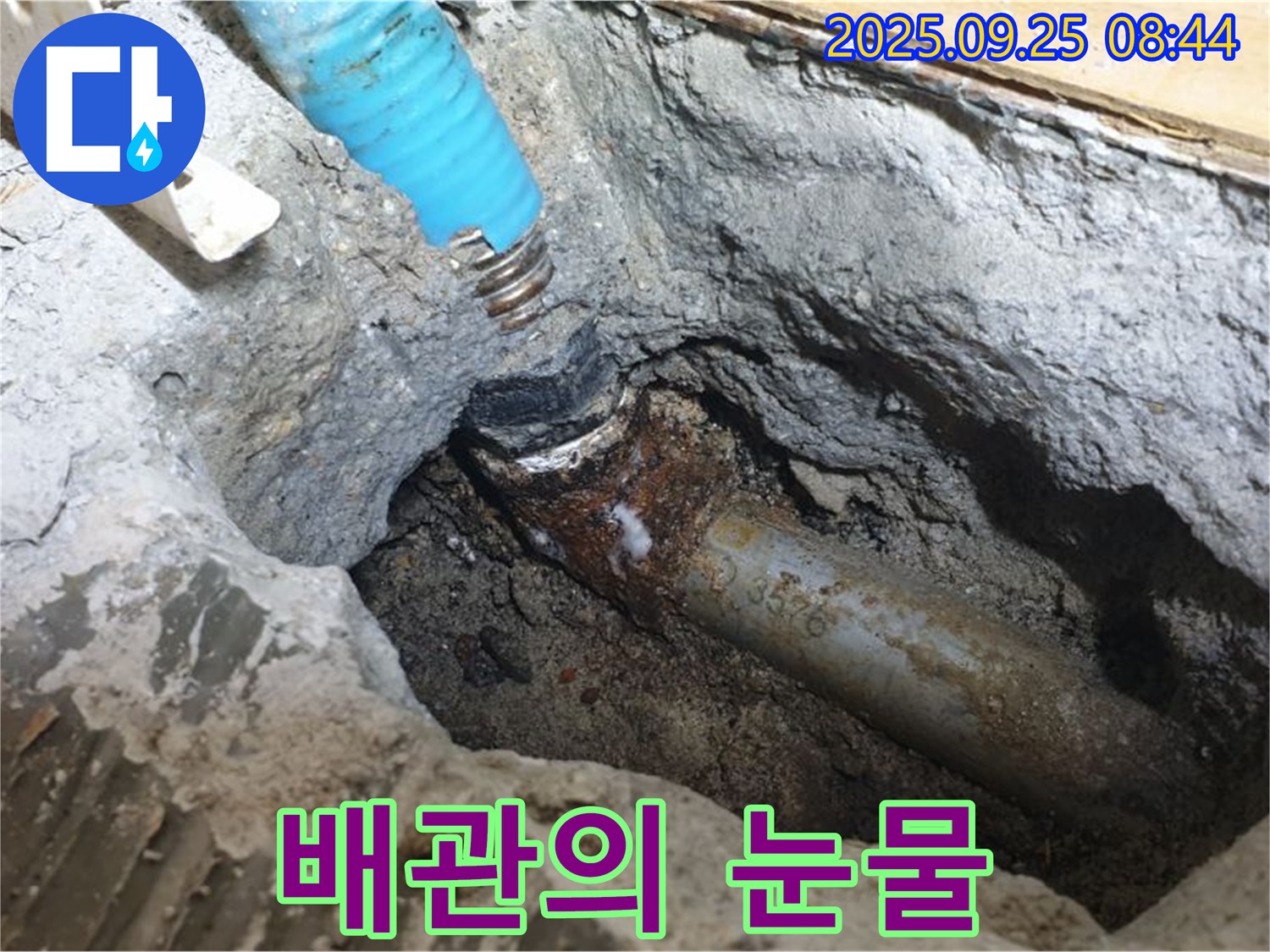 양주시 백석읍에서 낡은 배관의 눈물 자국 - 누수와의 아름다운 이별을 준비합니다.