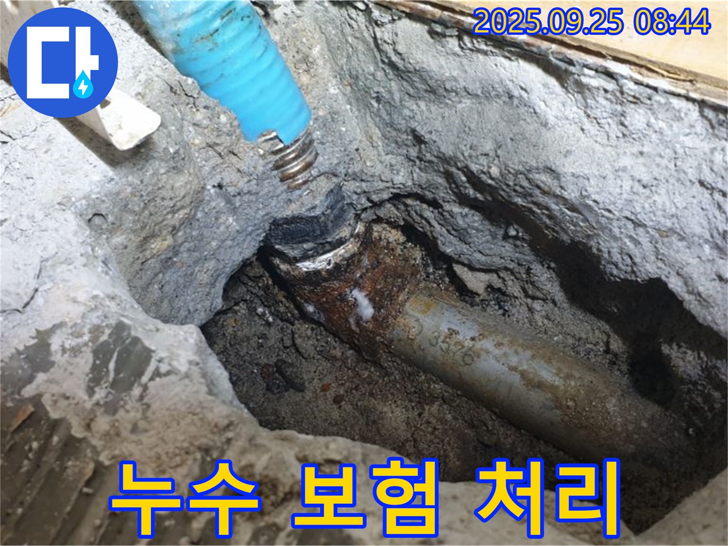 홍죽리에서 누수 보험 처리까지 완벽하게 도와드리는 모습 - 복잡한 보험 절차를 간편하게 해결해 드립니다.