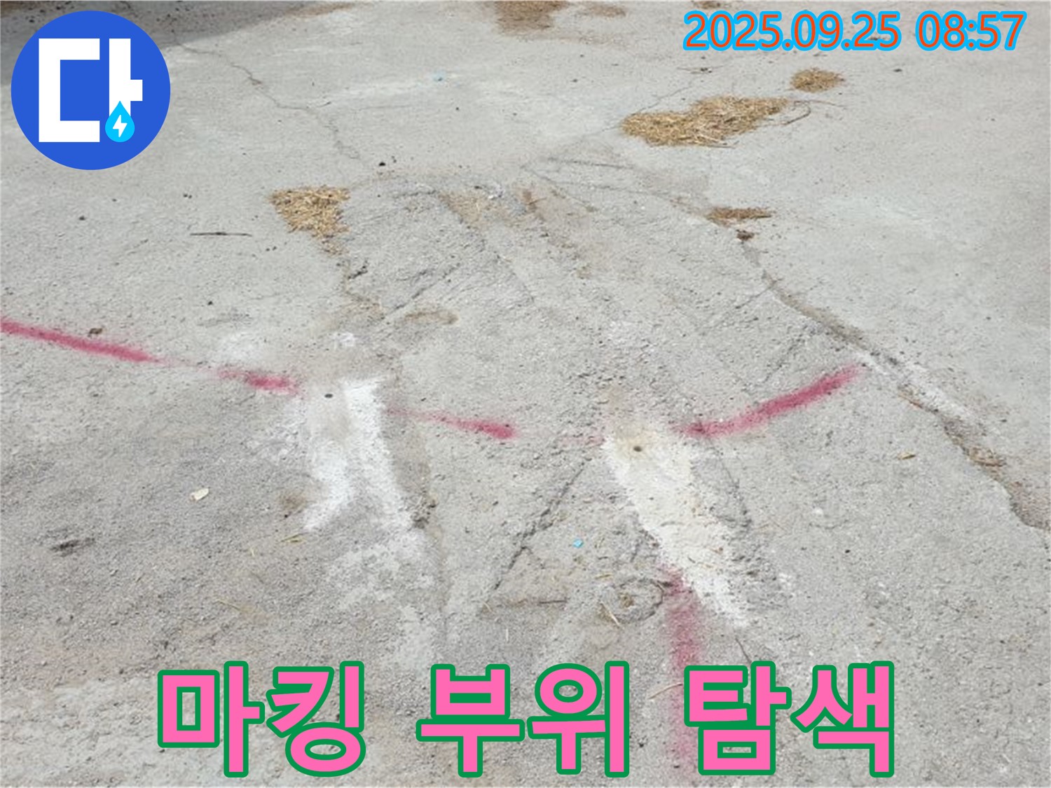붉은색 마킹 부위 집중 탐색 후 재발 방지 대책 수립 - 양주시 백석읍 복지리 누수 탐지