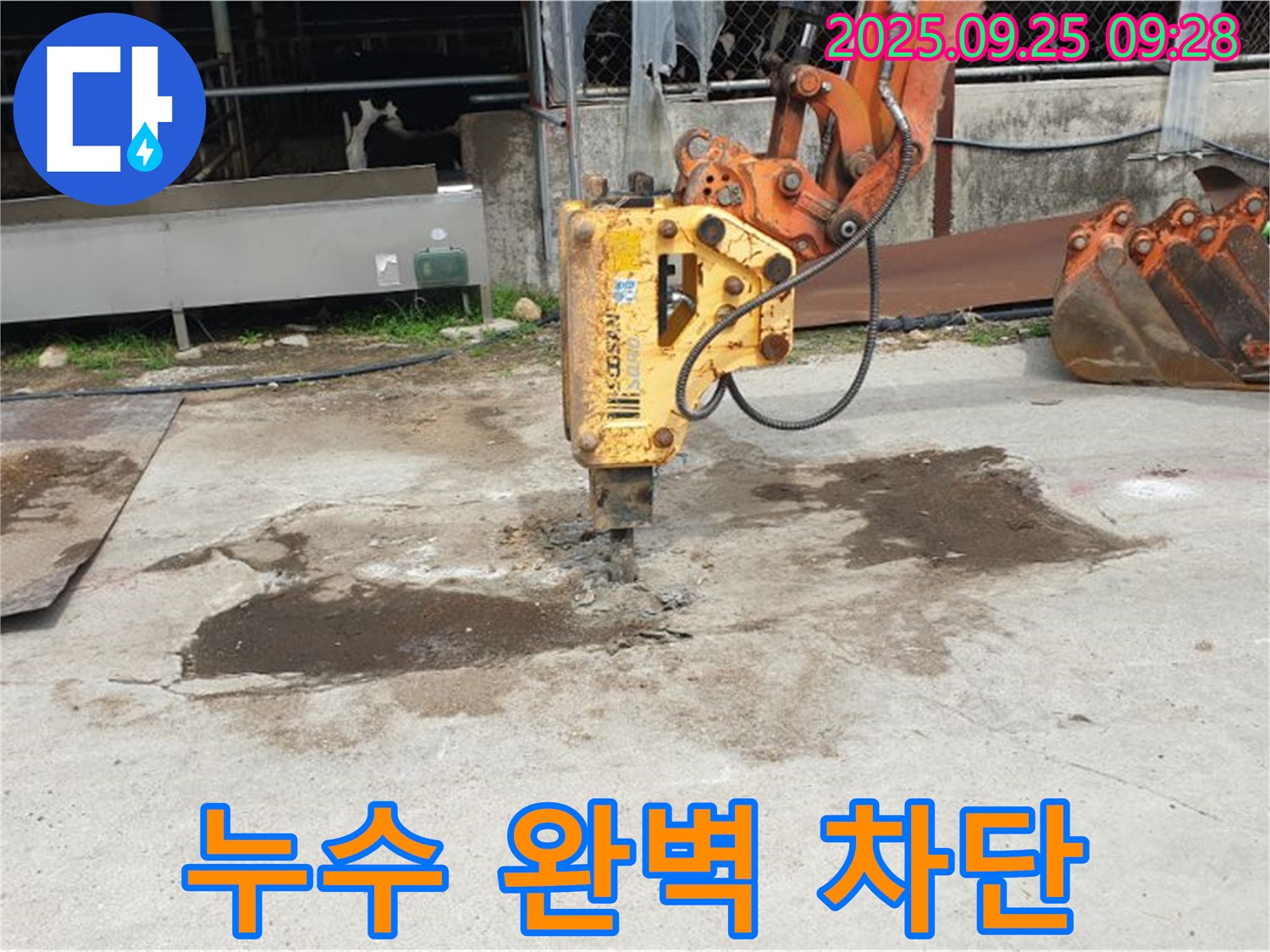 양주 백석읍 복지리 누수 - 굴착 작업으로 완벽하게 누수 차단