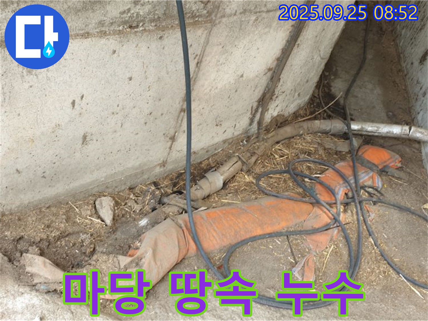 양주 백석읍 복지리 마당 땅속 누수 - 오래된 농가 마당에서 땅속 누수 발생!