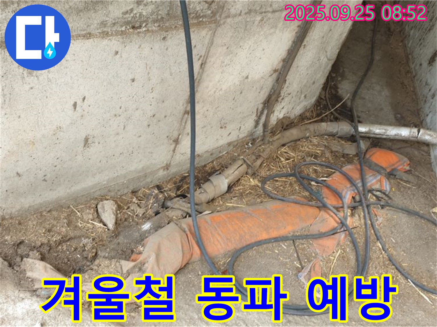 양주시 백석읍 복지리 겨울철 동파 예방 - 축사 누수, 겨울철 동파에 주의하세요!