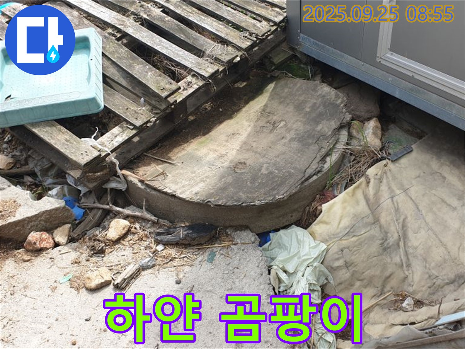 양주시 백석읍 복지리 누수 - 폐자재 속 하얀 곰팡이 건강