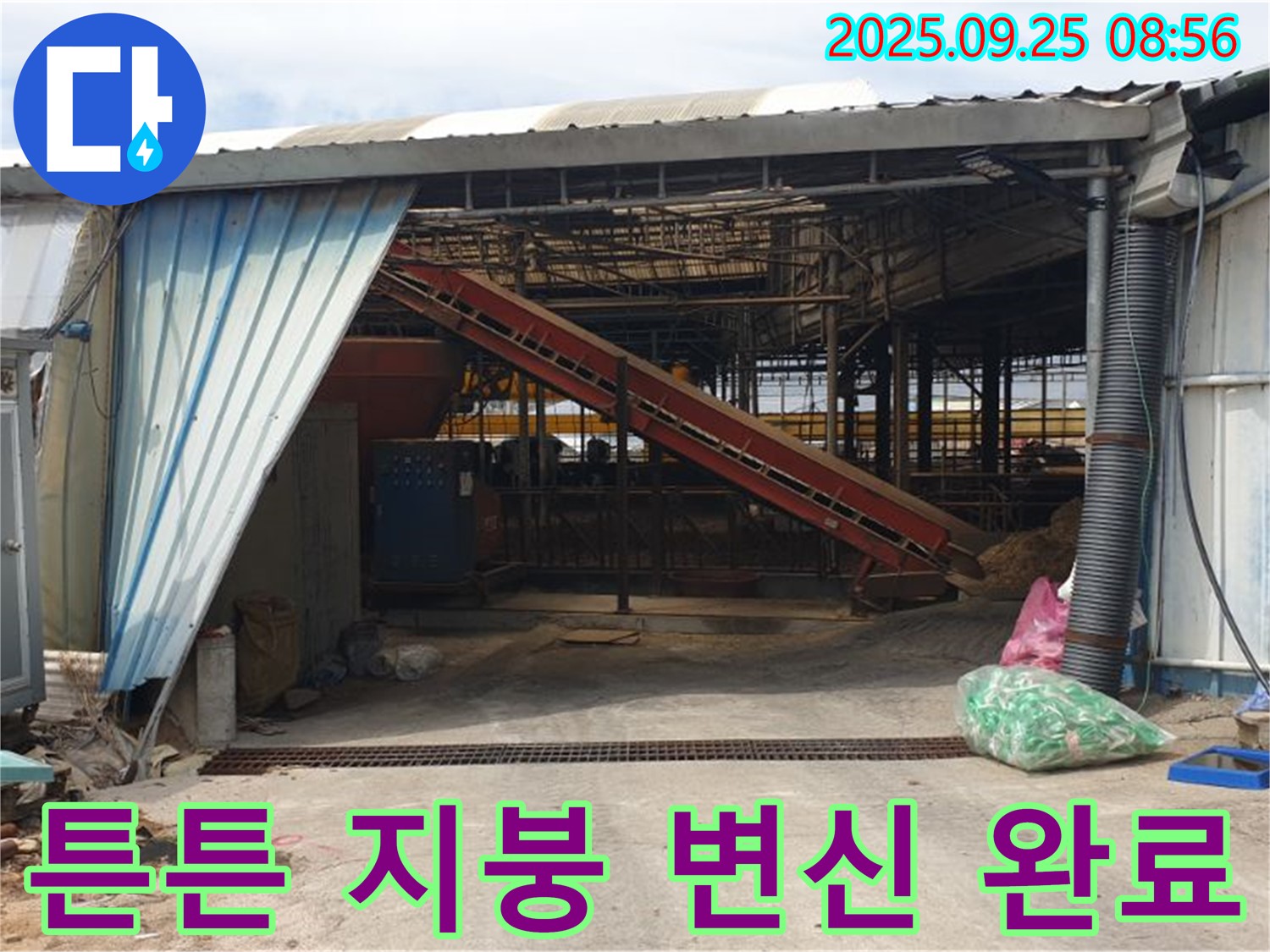 양주시 백석읍 복지리 - 축사 누수 해결 후 튼튼한 지붕으로 변신 - 이제 비가 와도 걱정 없어요!