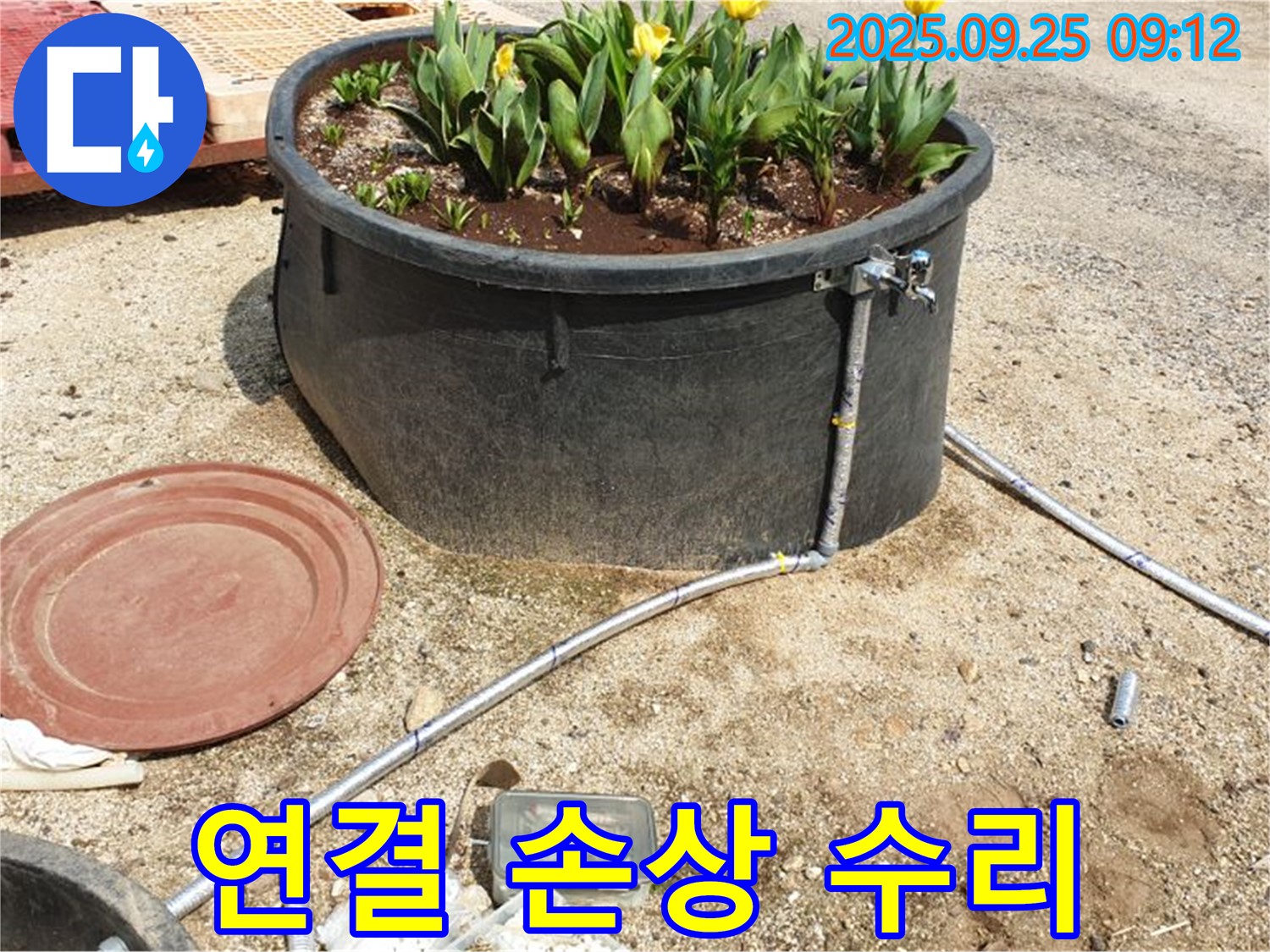 양주시 백석읍 복지리 화단 물탱크 - 호스 연결 부위에서 발생한 손상 누수를 긴급하게 수리하는 모습입니다.