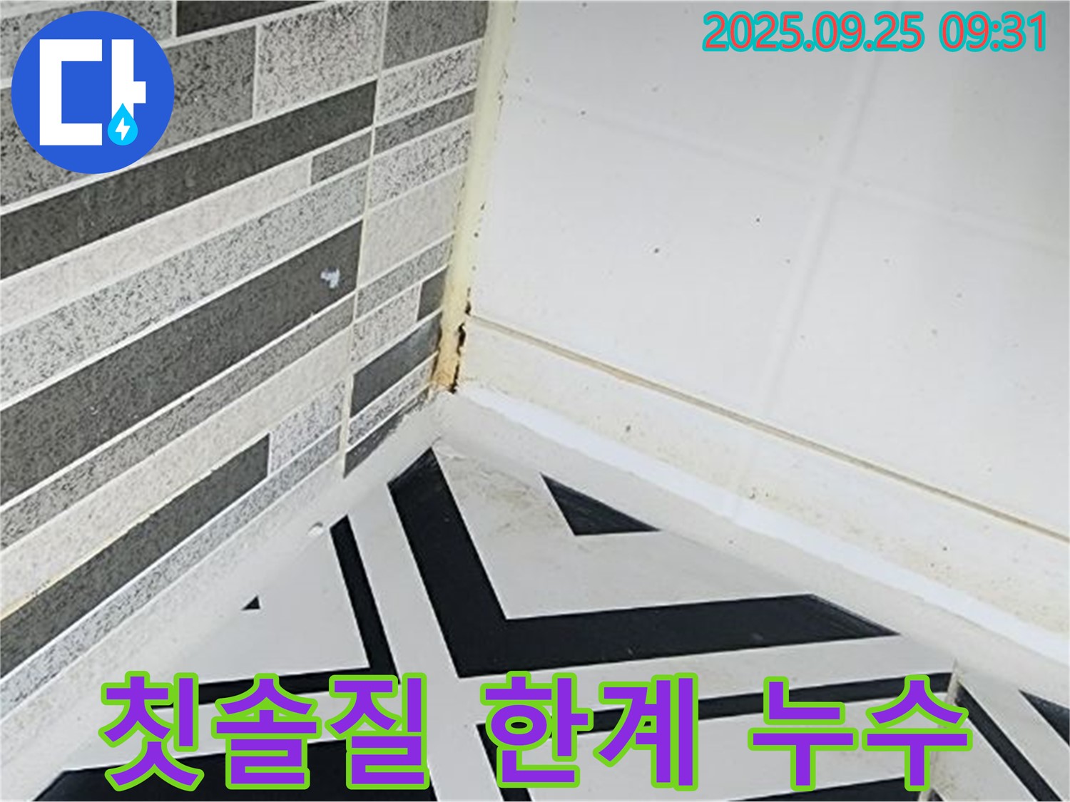 양주시 백석 오산리 - 칫솔로 곰팡이를 제거하려는 모습 - 전문가의 손길이 필요함을 강조