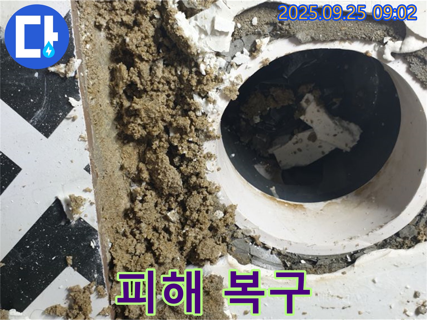 양주시 백석읍 오산리 누수 현장 - 누수 피해를 복구하는 전문적인 작업 모습입니다.