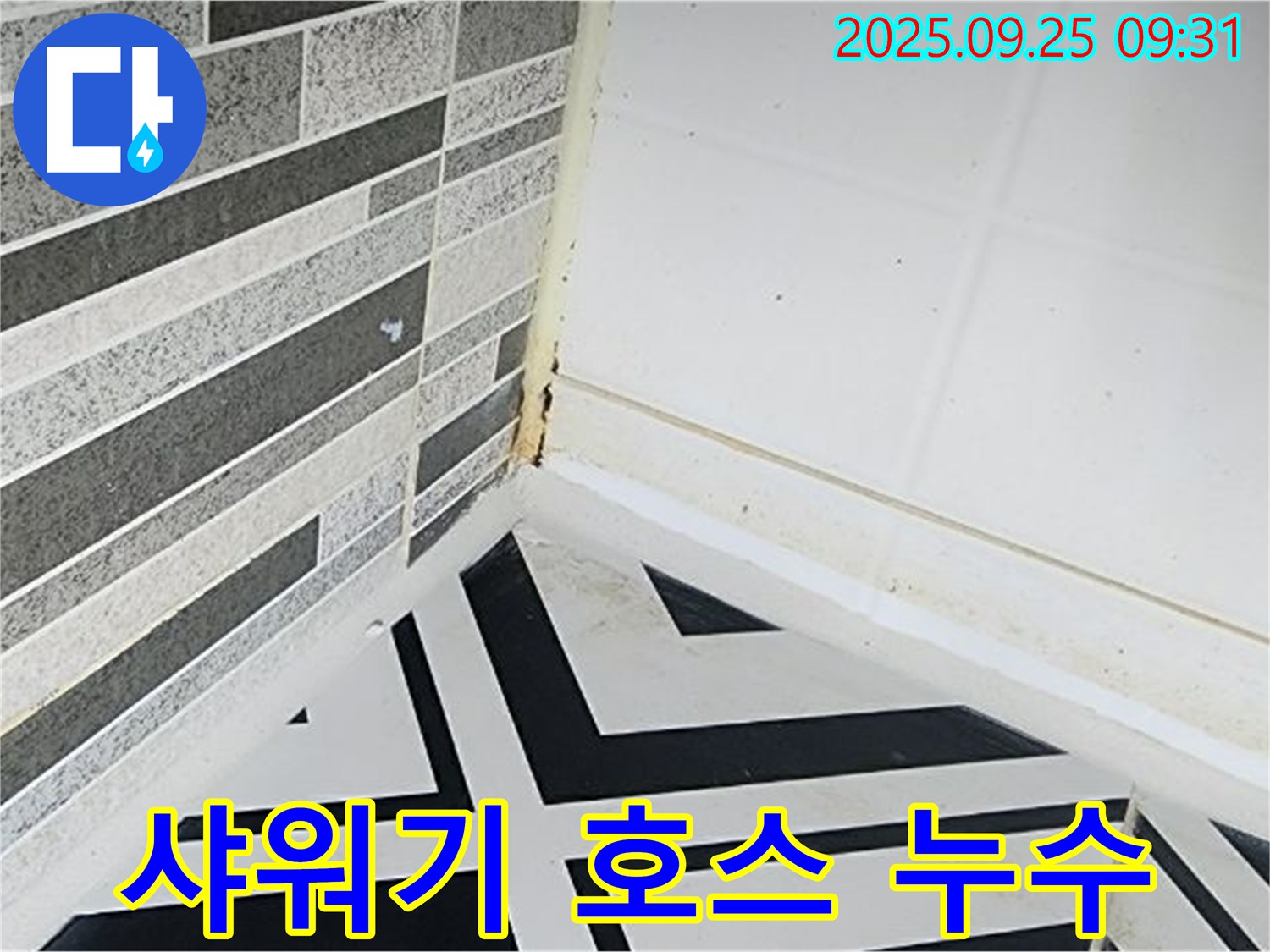 양주시 백석읍 오산리 - 샤워기 호스에서 누수가 발생하여 물이 뿜어져 나오는 모습입니다.