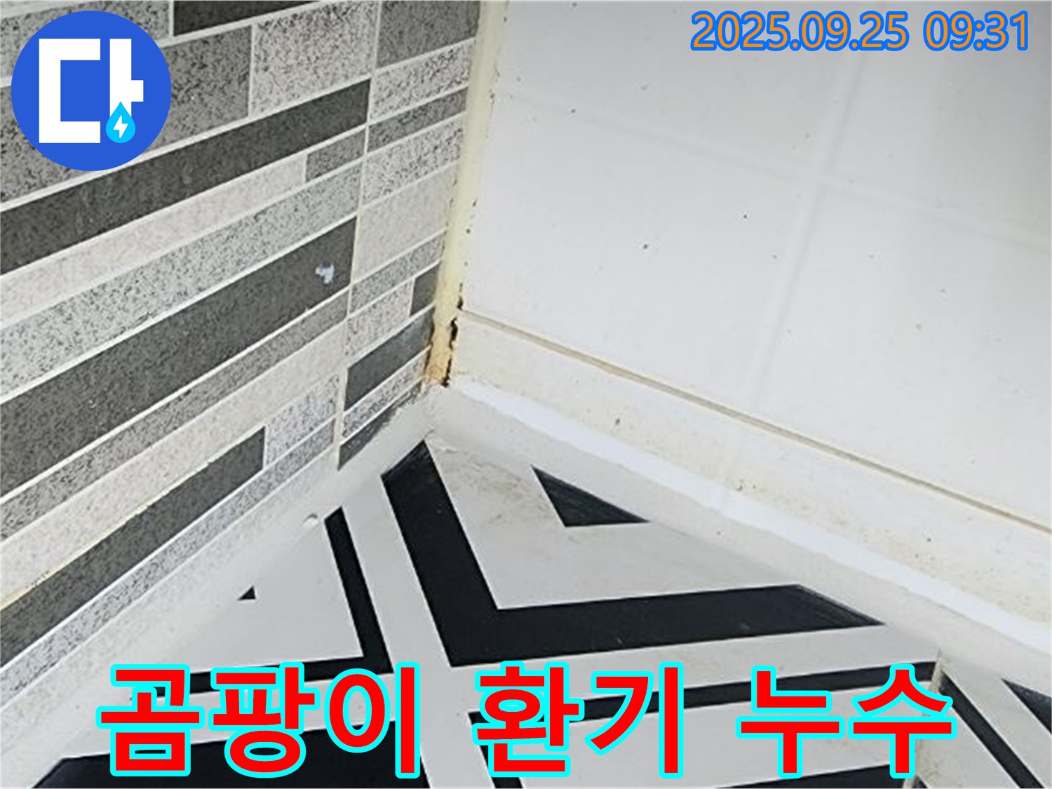 양주시 백석읍 오산리 - 욕실 환풍기를 가동하는 모습 - 누수 문제 해결에는 역부족
