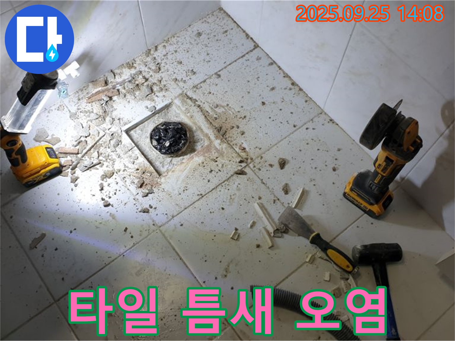 의정부 욕실 누수 - 배수구 주변 타일 틈새 오염 확인 - 곰팡이 및 누수 위험