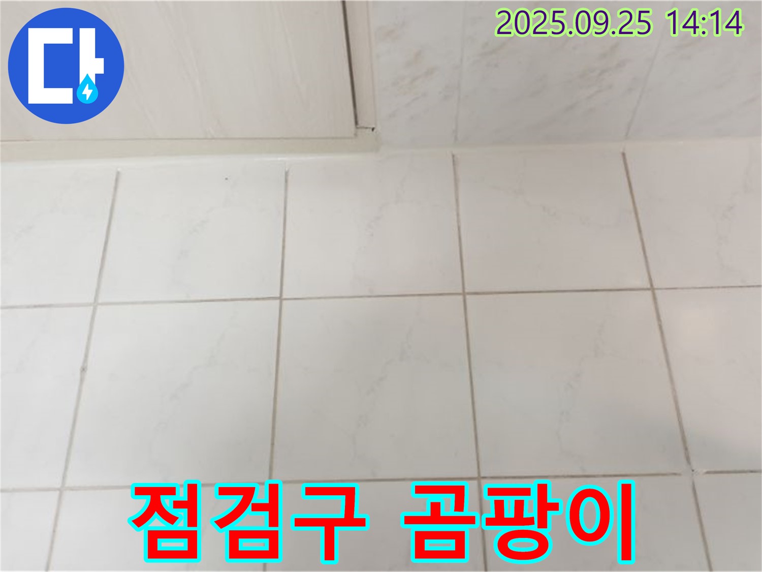 의정부 천장 누수 - 점검구 주변 곰팡이, 윗집 누수 가능성