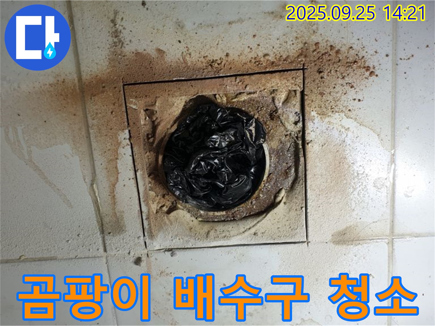 의정부1동 곰팡이 배수구 - 완벽 청소로 쾌적하게 변신